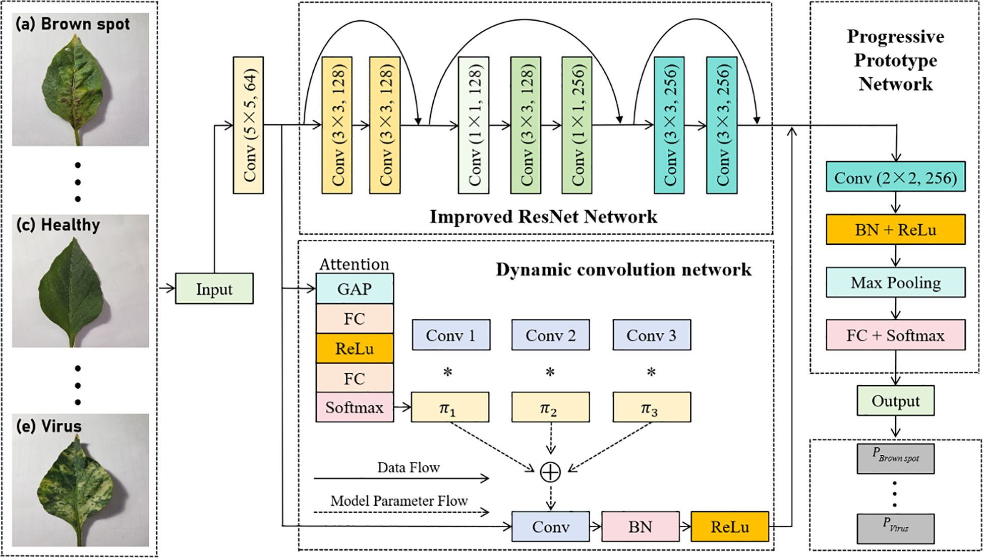 Diagram illustrating a neural network model for leaf disease detection. It shows input images of leaves with brown spots, healthy, and virus-affected conditions. The model comprises components like an Improved ResNet Network, Dynamic Convolution Network, and Progressive Prototype Network, including various convolutional layers and activation functions like GAP, ReLU, and Softmax. The data flows through these networks to produce output probabilities for leaf conditions.