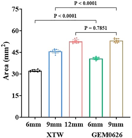 Bar graph showing the area in square millimeters for XTW and GEM10626 across different sizes: 6 mm, 9 mm, and 12 mm. XTW 9 mm shows a significantly larger area. p-values indicate statistical differences, with p < 0.0001 between most sizes except for GEM10626 6 mm and 9 mm, where p = 0.7851.