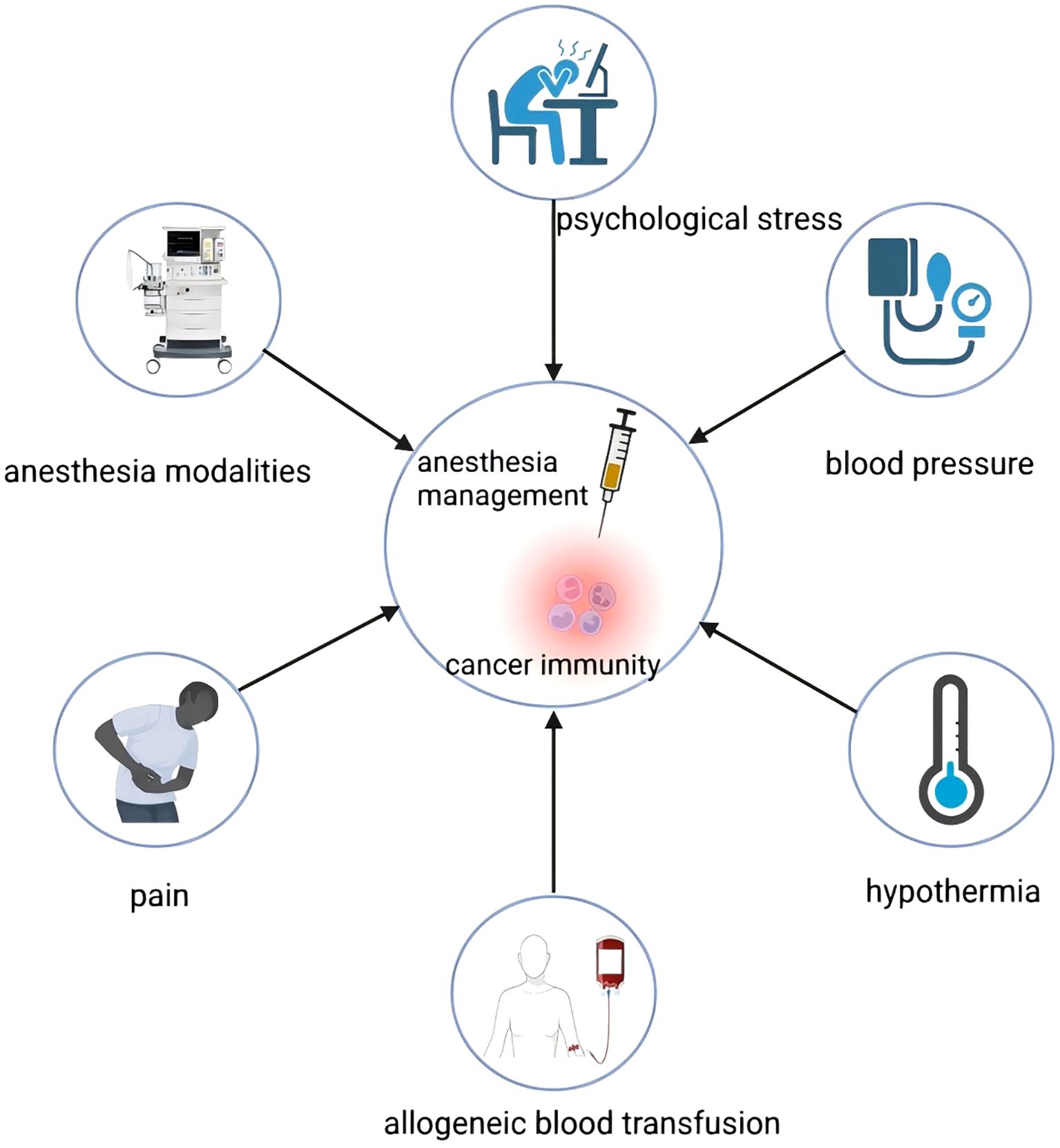 Diagram showing factors affecting cancer immunity through anesthesia management. Central circle labeled “anesthesia management” with syringe and cells, linked to six factors: psychological stress, blood pressure, hypothermia, allogeneic blood transfusion, pain, and anesthesia modalities.