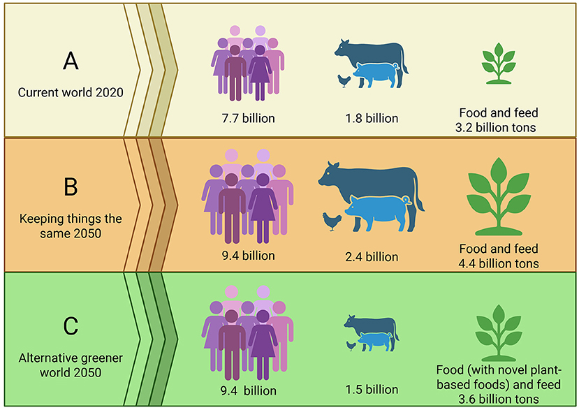 Figure 1 - The world now and in 2050, two options for feeding the growing population.