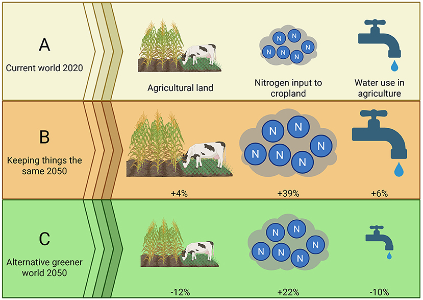 Figure 2 - Agriculture now and in 2050, under two options for feeding the growing population.