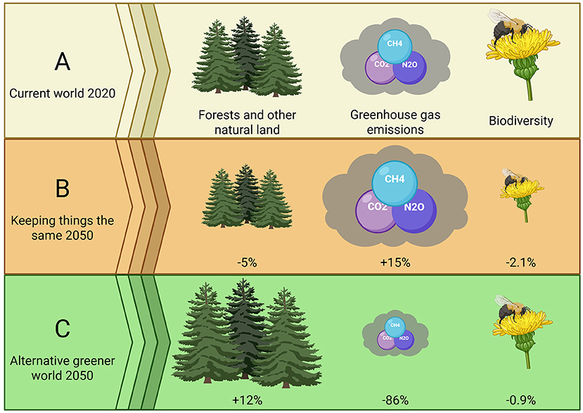 Figure 3 - The natural environment now and in 2050, under two options for feeding the growing population.