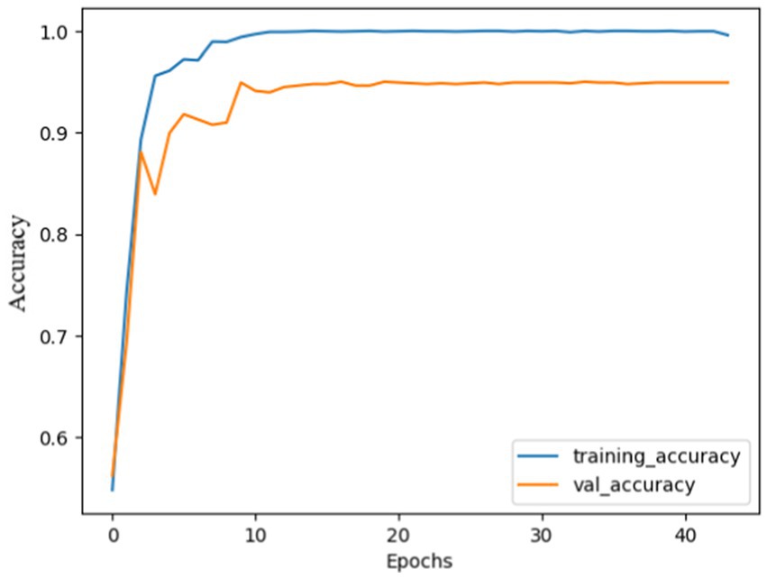 Line plot showing training and validation accuracy over 45 epochs. Training accuracy rapidly increases and plateaus close to 1.0. Validation accuracy follows a similar trend but stabilizes around 0.95.