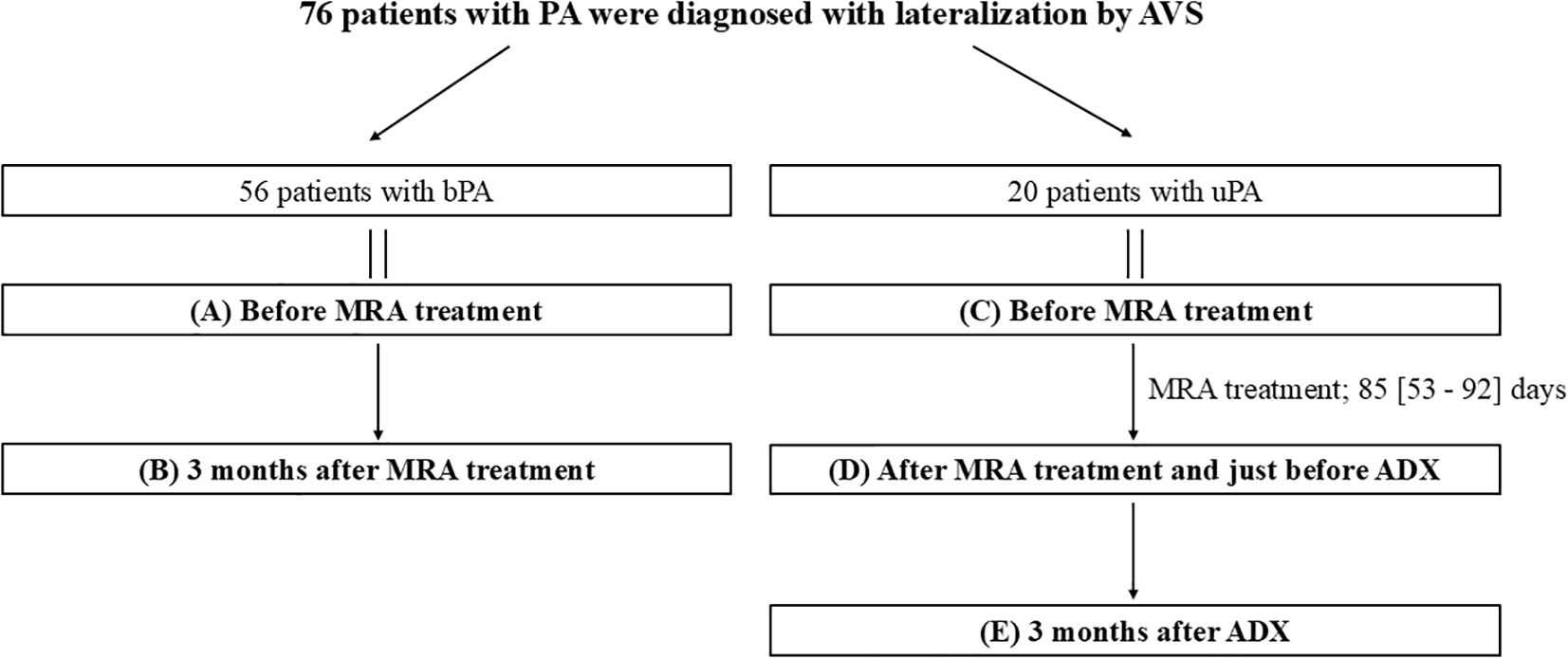 Flowchart showing the diagnosis and treatment process for 76 patients with PA using AVS. Fifty-six patients have bPA, with evaluation before and three months after MRA treatment. Twenty patients have uPA, assessed before MRA, after MRA and before ADX, and three months post-ADX. MRA treatment duration is fifty-three to ninety-two days.