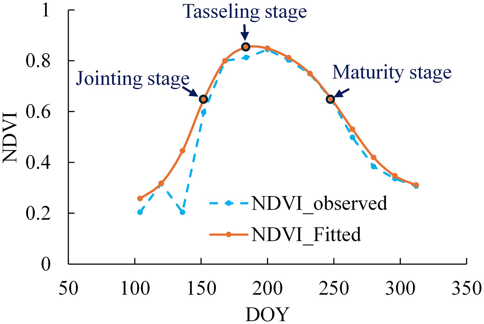 Graph showing NDVI values over Days of Year (DOY) with two lines: a dashed blue line for NDVI observed and a solid orange line for NDVI fitted. Key growth stages labeled as Jointing, Tasseling, and Maturity. NDVI peaks at the Tasseling stage.