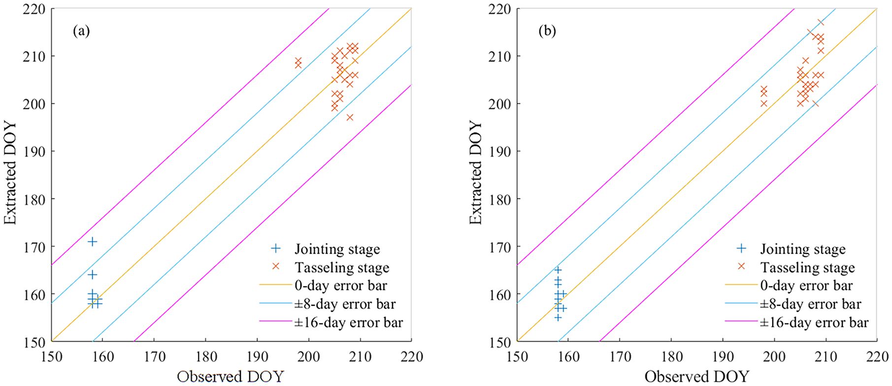 Two scatter plots with extracted versus observed Day of Year (DOY) data. In both, blue crosses represent the jointing stage, and orange crosses represent the tasseling stage. Error bars are displayed: yellow for zero days, blue for plus or minus eight days, and purple for plus or minus sixteen days. The right plot shows more concentrated both at the jointing stage and tasseling stage compared to the left plot.