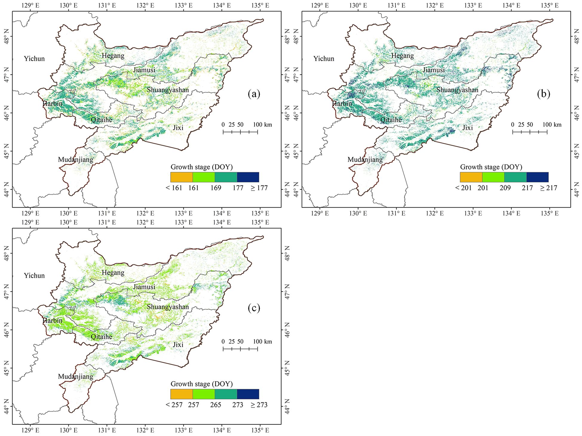 Three maps showing the distribution of maize growth stages across the Sanjiang Plain in China. Colors range from green to blue indicates the Day of Year (DOY), with cooler colors representing later dates. The maps and their corresponding DOY ranges are: (a) Jointing stage, less than 161 to more than 177 DOY; (b) Tasseling stage, less than 201 to more than 217 DOY; and © Maturity stage, less than 257 to more than 273 DOY.