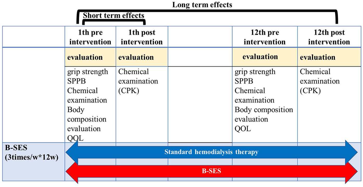 Table outlining evaluations for short-term and long-term effects of an intervention, labeled B-SES, occurring three times weekly for twelve weeks. Evaluations include grip strength, SPPB, chemical examination (CPK), body composition, and quality of life. Arrows depict standard hemodialysis therapy and B-SES duration.