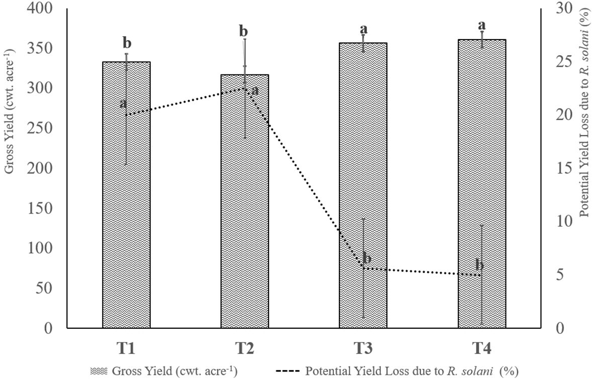 Bar graph showing gross yield in hundredweight per acre (cwt. acre⁻¹) for treatments T1 to T4. T1 and T2 have similar yields around 300 cwt. acre⁻¹ marked as “b”. T3 and T4 yield slightly higher around 350 cwt. acre⁻¹ marked as “a”. A dotted line indicates potential yield loss due to R. solani in percentage, peaking around 20% for T2 and decreasing to about 5% for T4. Error bars are present on all bars.