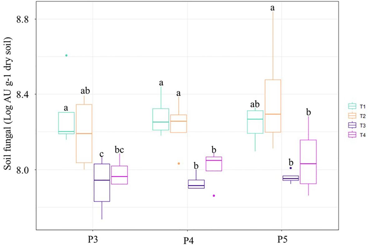 Box plot showing soil fungal levels (Log AU per gram dry soil) across treatments T1, T2, T3, and T4 at plot groups P3, P4, and P5. Each box represents a different treatment, with statistical annotations 'a', 'b', 'c', and 'ab' indicating significant differences. T1 is turquoise, T2 is orange, T3 is purple, and T4 is pink. Outliers are marked as individual points.