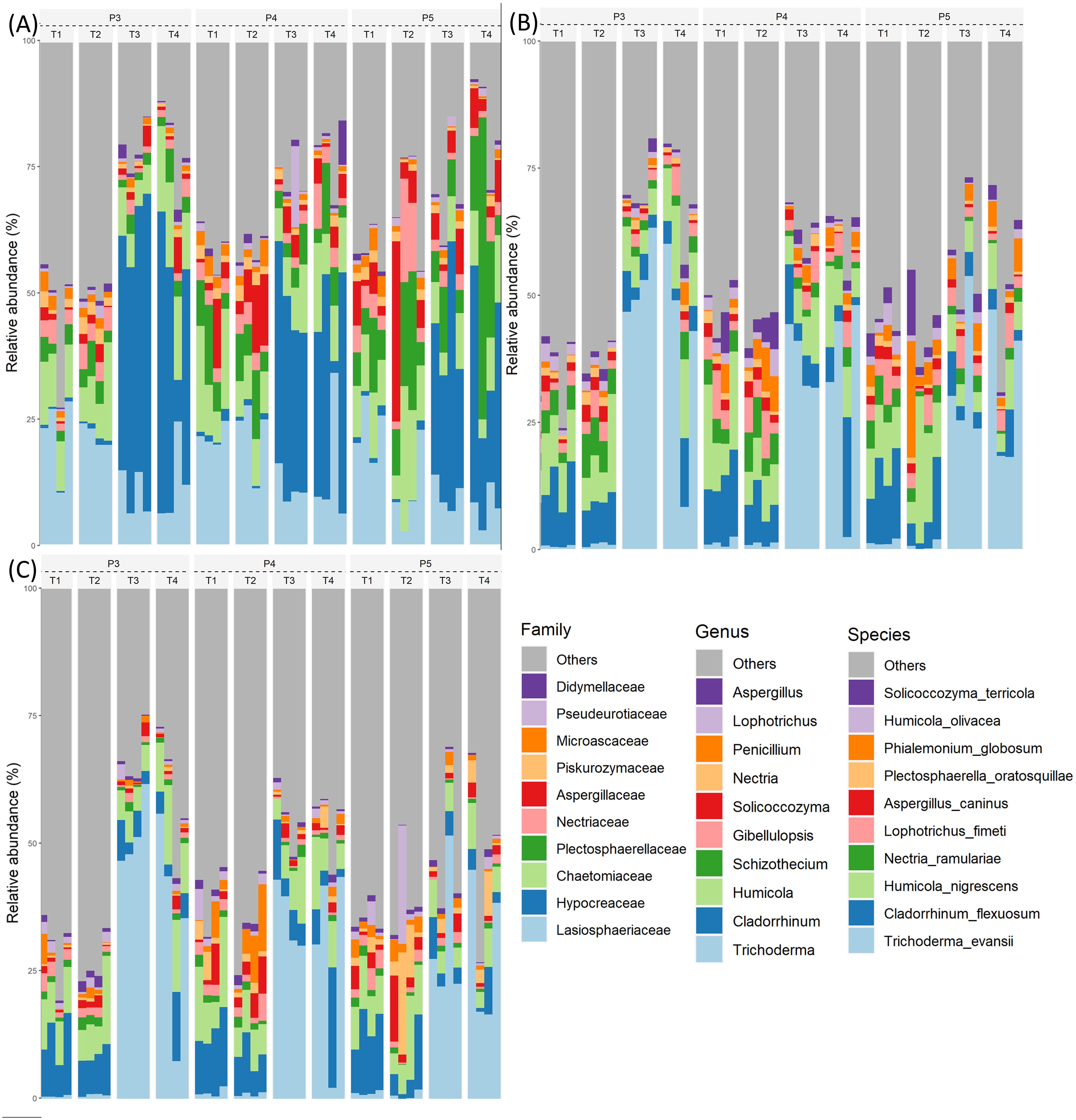 Bar charts labeled A, B, and C display relative abundance percentages for families, genera, and species, respectively. Each chart has vertical bars with different colors representing categories such as Others, Oidiodendraceae, and Pseudoraceae. The horizontal axis shows different treatment groups (P3, P4, P5) across time points (T1-T4). A key indicates category names and corresponding colors.