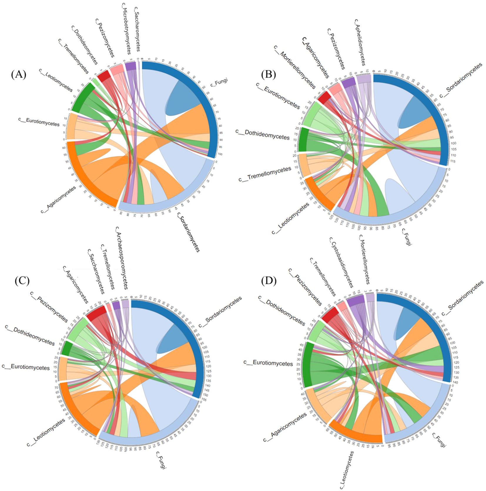 Four circular chord diagrams labeled A, B, C, and D illustrate relationships among different classes of fungi. Each diagram shows colored segments representing various classes, connected by arcs indicating interactions or shared characteristics. The classes include Eurotiomycetes, Agaricomycetes, Dothideomycetes, Tremellomycetes, and others, with varying patterns in each diagram showing different relationship dynamics.