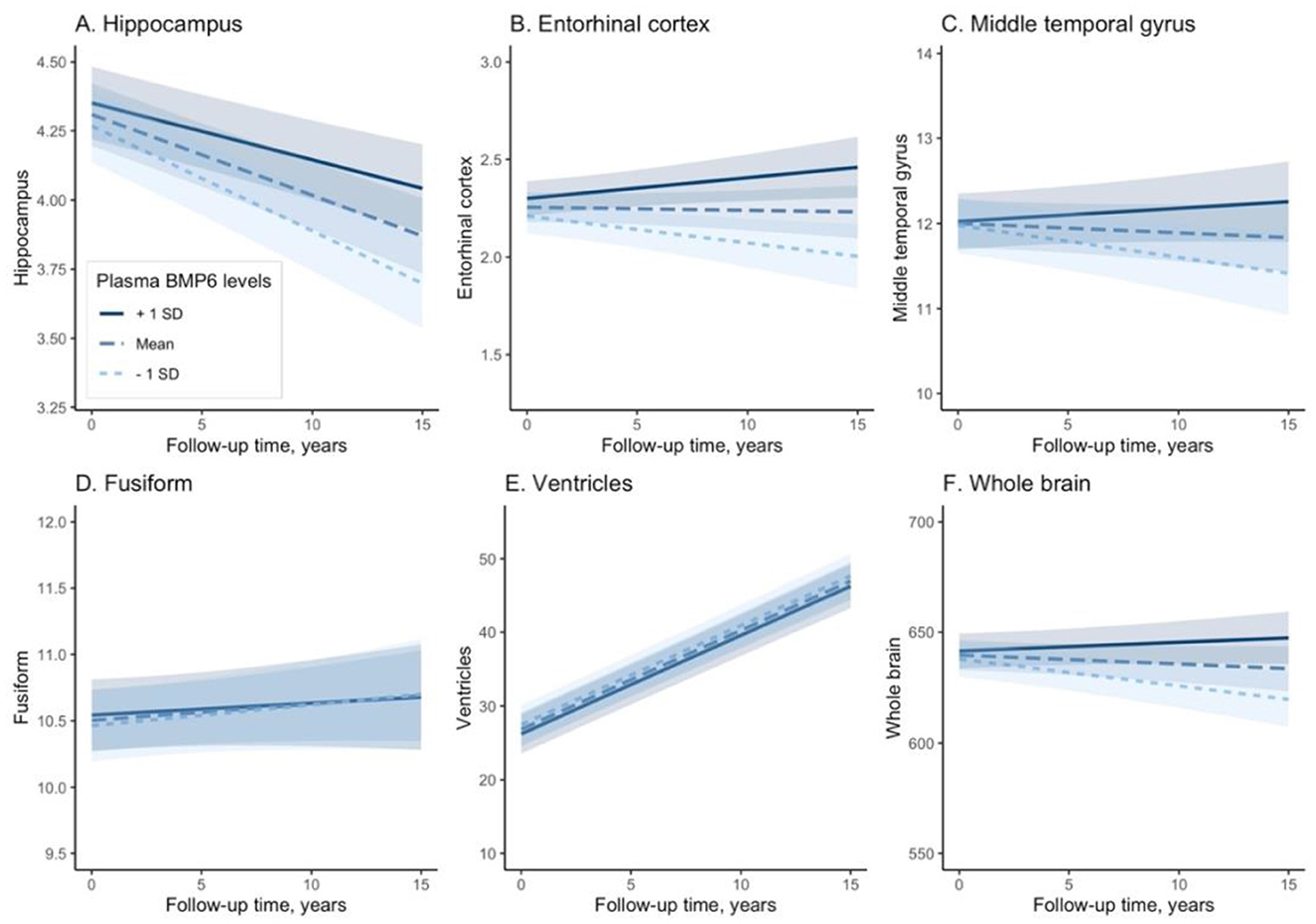 Six line graphs show changes in brain regions and ventricles over 15 years, categorized by plasma BMP6 levels: +1 SD, mean, -1 SD. Panels include A) Hippocampus, B) Entorhinal cortex, C) Middle temporal gyrus, D) Fusiform, E) Ventricles, and F) Whole brain. Shaded areas indicate 95% confidence intervals.
