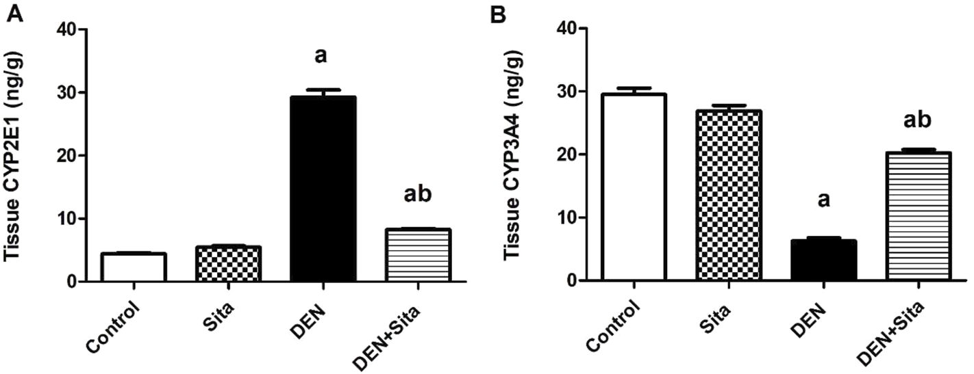 Bar graphs depicting tissue CYP2E1 and CYP3A4 levels in ng/g for Control, Sita, DEN, and DEN+Sita groups. Graph A shows a significant increase in the DEN group for CYP2E1, with reduction in the DEN+Sita group. Graph B shows high CYP3A4 levels in Control and Sita, lower levels in DEN, and moderate levels in DEN+Sita.