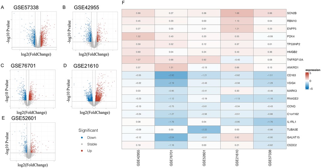 Panels A–E show volcano plots of differential gene expression from datasets GSE57338, GSE42955, GSE76701, GSE21610, and GSE52601, where red dots represent upregulated genes, blue dots downregulated, and gray dots stable. Panel F presents a heatmap summarizing log2 fold change expression values for selected genes across the five datasets, with red indicating higher expression and blue indicating lower expression.
