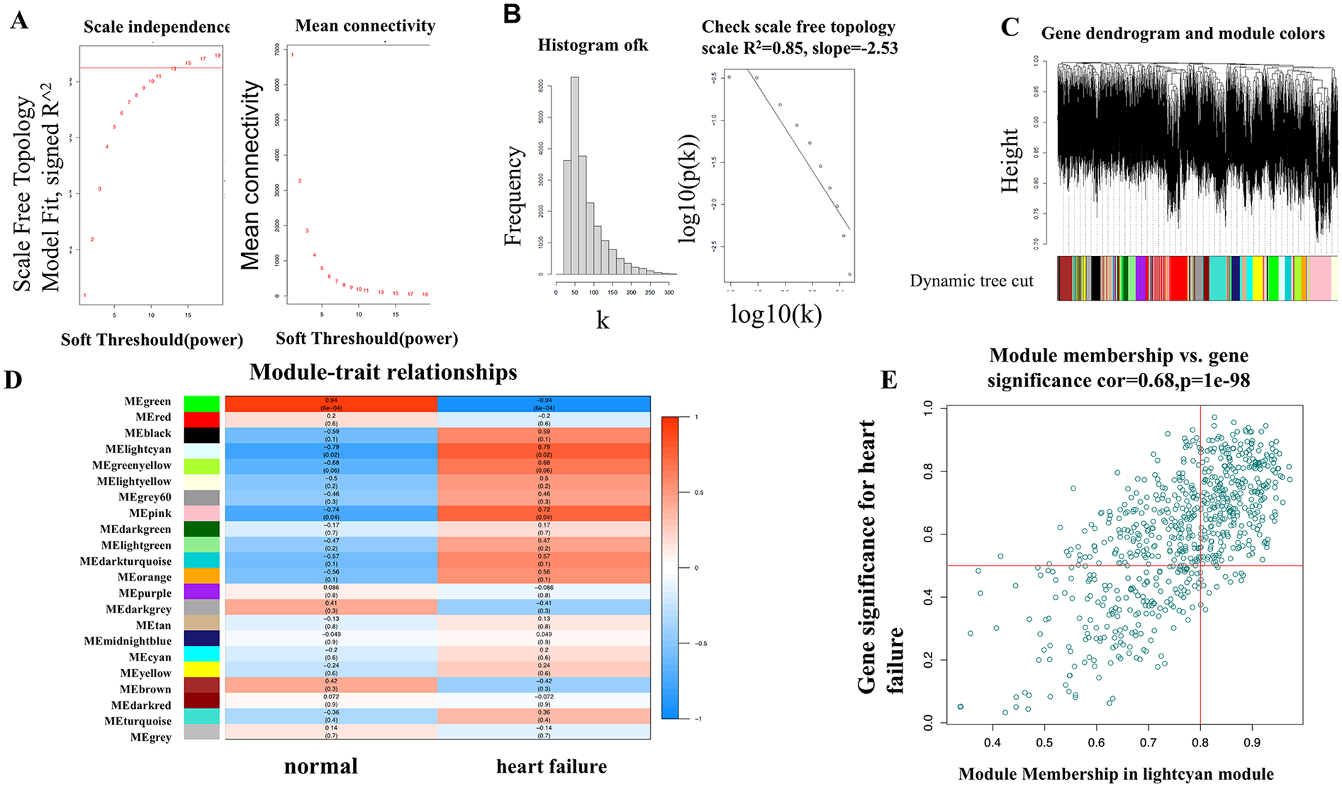Panel A shows plots of scale-free topology model fit and mean connectivity across soft-threshold powers. Panel B presents a histogram of node connectivity and a log–log plot confirming scale-free topology (R²=0.85). Panel C displays a gene dendrogram with modules assigned distinct colors via dynamic tree cutting. Panel D is a heatmap of module–trait relationships, comparing normal and heart failure samples, with correlation values and significance levels. Panel E shows a scatter plot of module membership versus gene significance for heart failure in the lightcyan module, with a strong positive correlation (cor=0.68, p=1e-98).