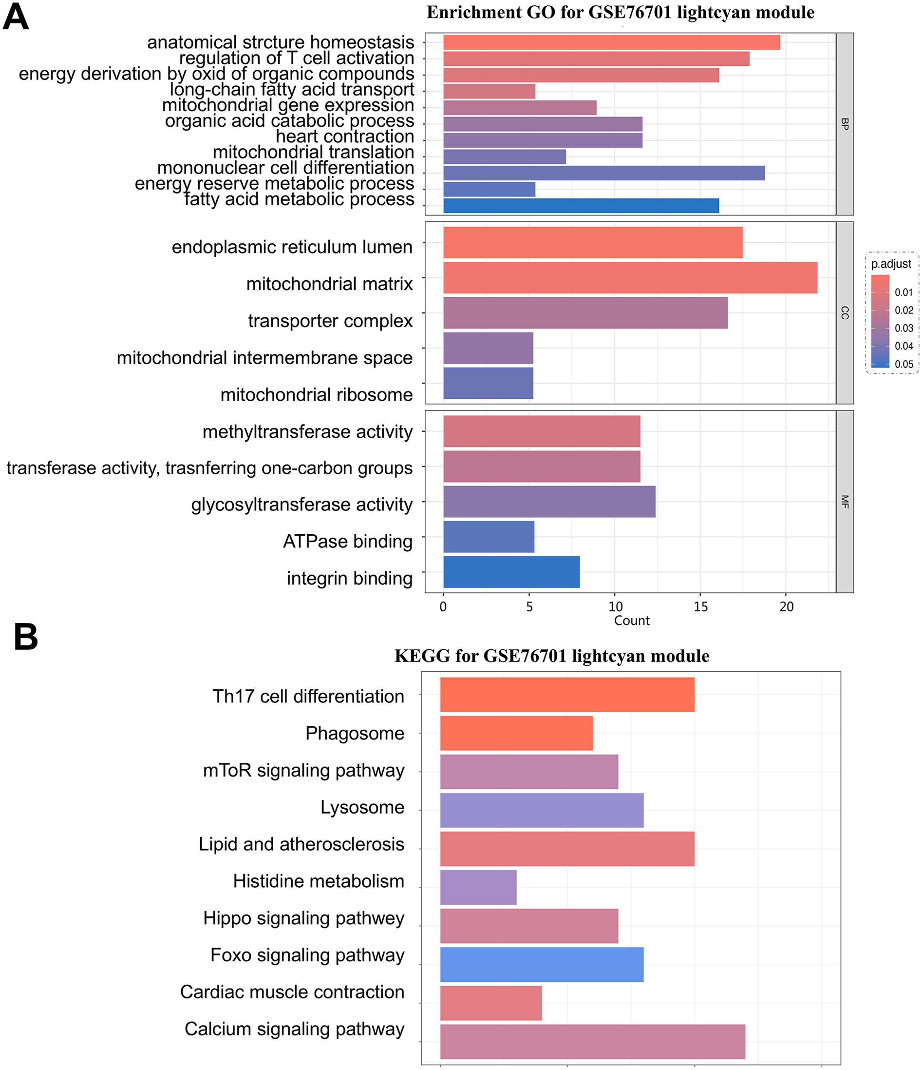 Panel A shows Gene Ontology enrichment analysis for the GSE76701 lightcyan module, highlighting biological processes such as fatty acid metabolism, mitochondrial gene expression, and T cell activation; cellular components including endoplasmic reticulum lumen and mitochondrial matrix; and molecular functions like methyltransferase activity, ATPase binding, and integrin binding. Panel B presents KEGG pathway enrichment for the same module, with significant pathways including Th17 cell differentiation, phagosome, mTOR signaling, lysosome, lipid and atherosclerosis, Hippo signaling, Foxo signaling, cardiac muscle contraction, and calcium signaling.