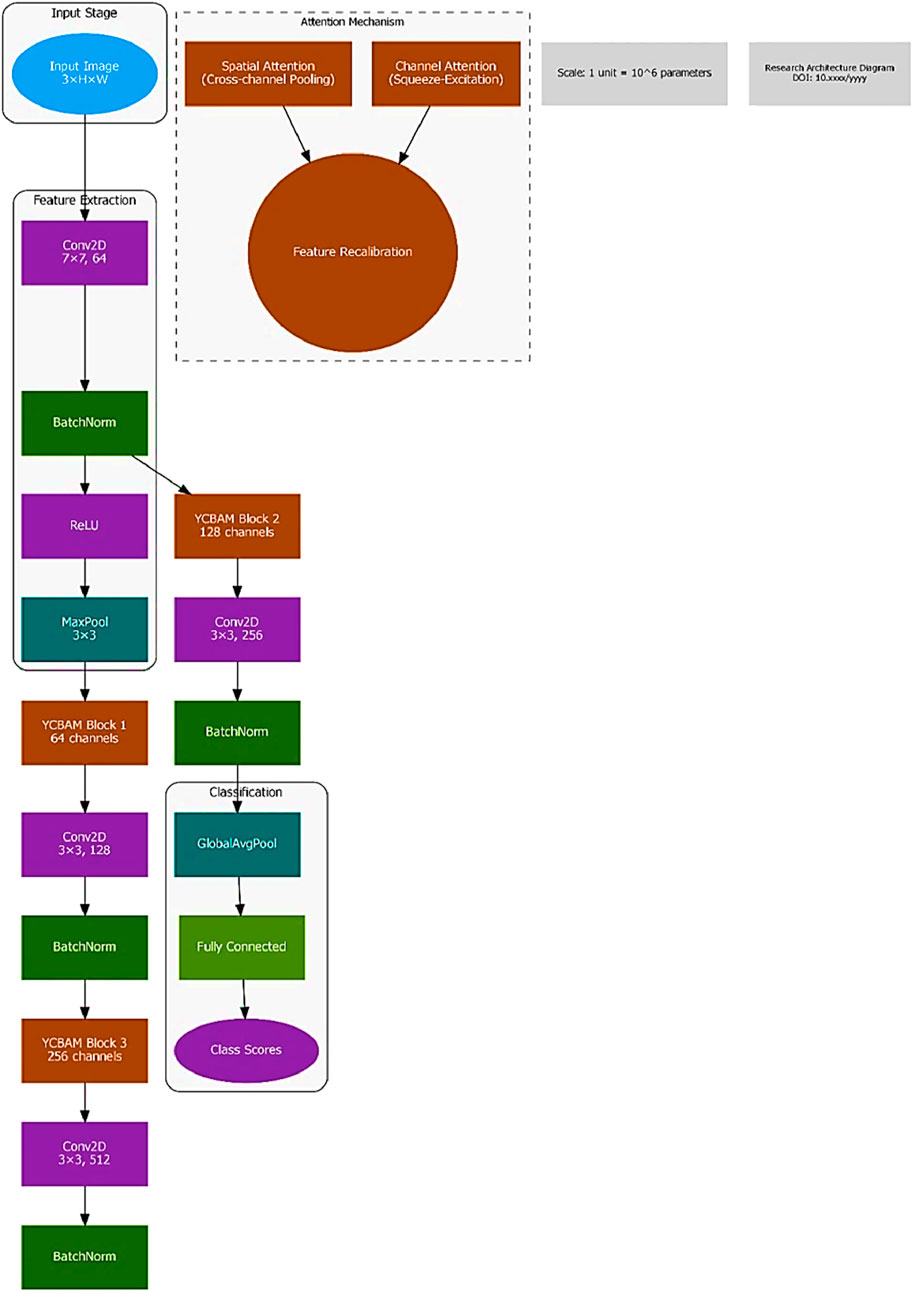 Flowchart depicting a neural network architecture with three stages: input, attention mechanism, and feature extraction. The input stage processes a 3-channel image. The attention mechanism includes spatial and channel attention for feature recalibration. The feature extraction stage comprises convolutional layers, batch normalization, ReLU activation, and YCBAM blocks, ending with classification using global average pooling and fully connected layers. The diagram is labeled