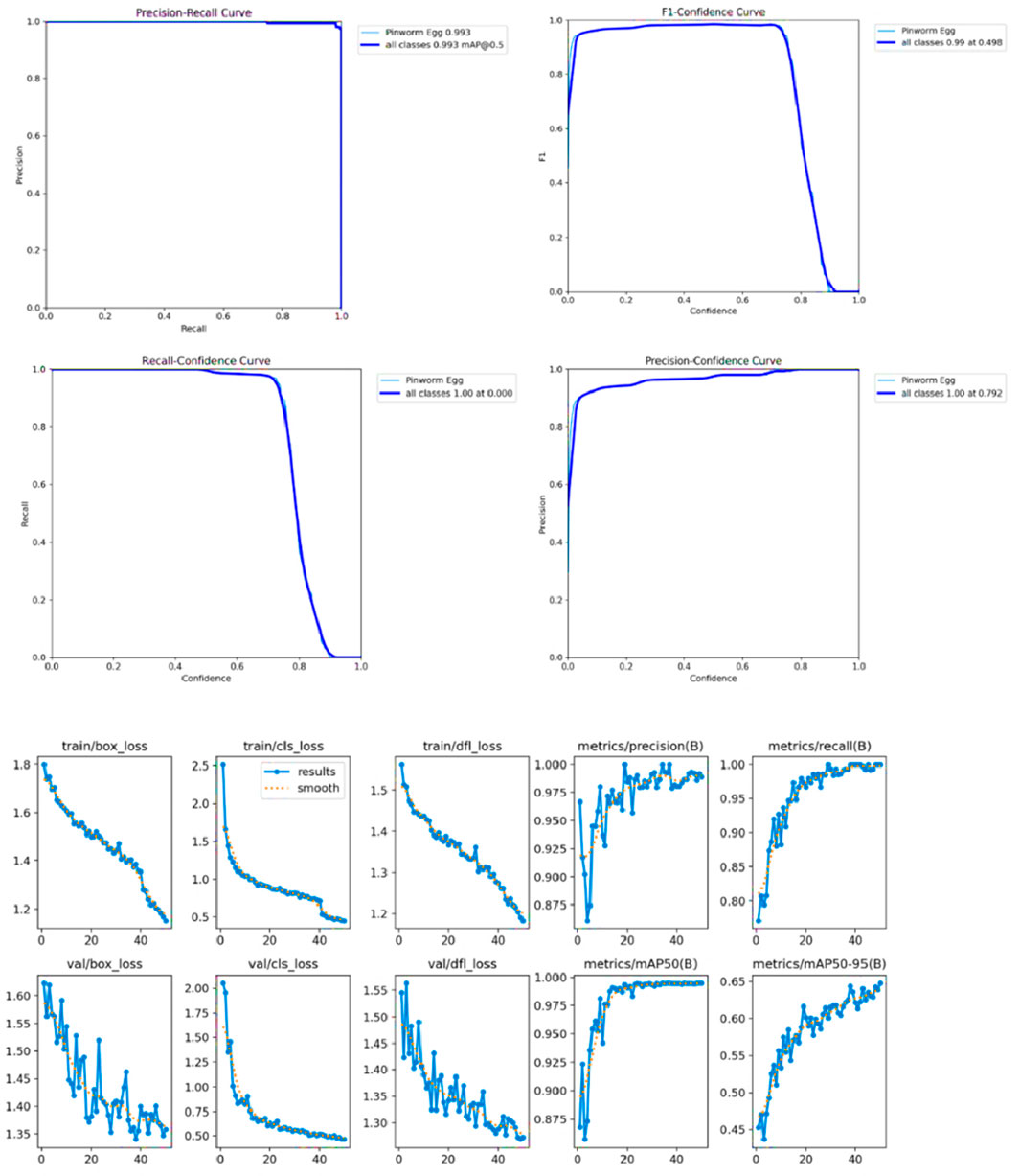 Four performance charts at the top show a precision-recall curve, F1-confidence curve, recall-confidence curve, and precision-confidence curve for