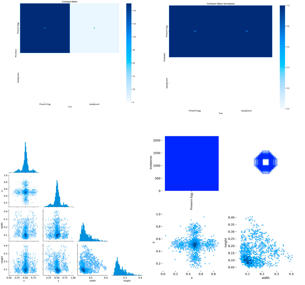 Top left shows a confusion matrix with high true positive and low false positive rates, using dark blue for high values. Top right depicts a normalized confusion matrix, with dark blue indicating high accuracy. Bottom left contains a pair of scatter plots and histograms displaying relationships between variables like x, y, width, and height. Bottom right features a large histogram and two scatter plots, one for variables x and y, the other for width and height, indicating data distribution and relationships.