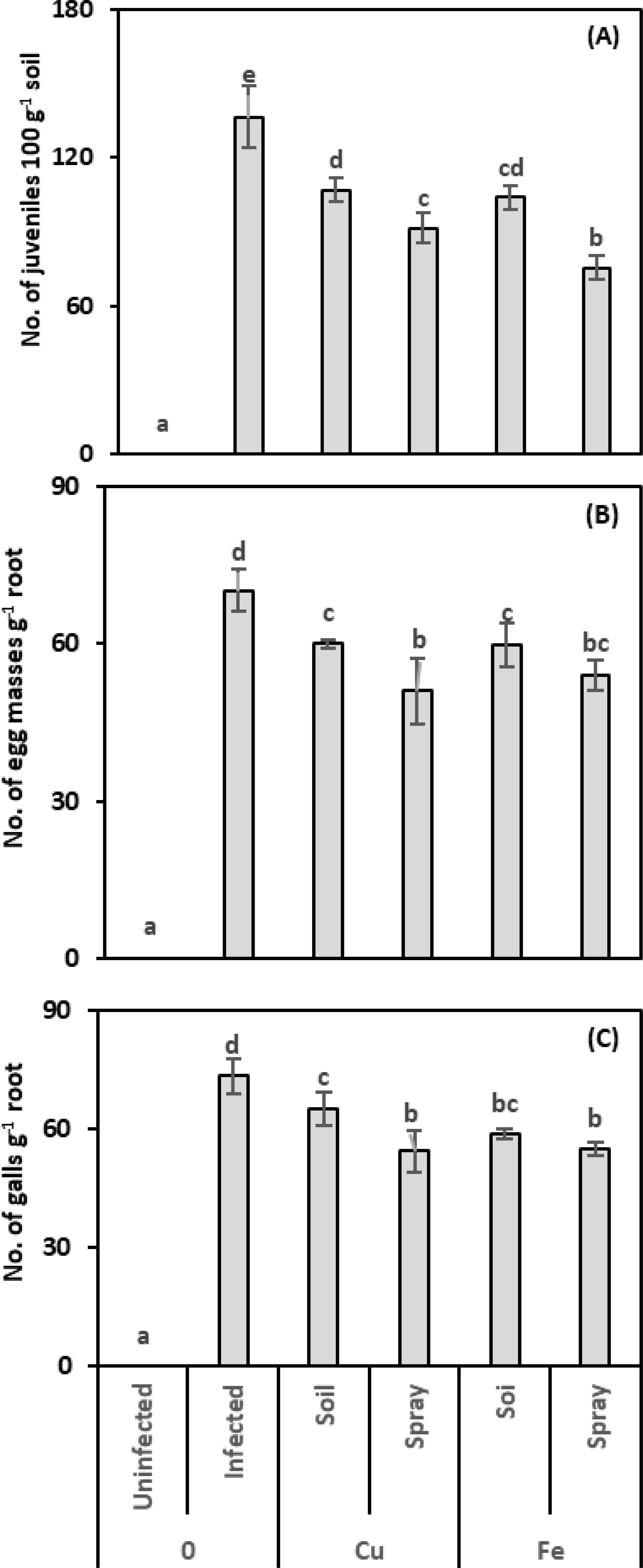 Three bar charts labeled A, B, and C compare the effects of different treatments on soil and root conditions. Chart A shows the number of juveniles per 100 grams of soil, peaking at the “Infected” and lowest at “Uninfected.” Chart B displays egg masses per gram of root, with the highest in the “Soil” treatment and the lowest in “Uninfected.” Chart C illustrates galls per gram of root, highest in the “Soil” treatment and lowest in “Uninfected.” Treatment categories include “Uninfected,” “Infected,” “Cu Soil,” “Cu Spray,” “Fe Soil,” and “Fe Spray.” Error bars indicate variability.