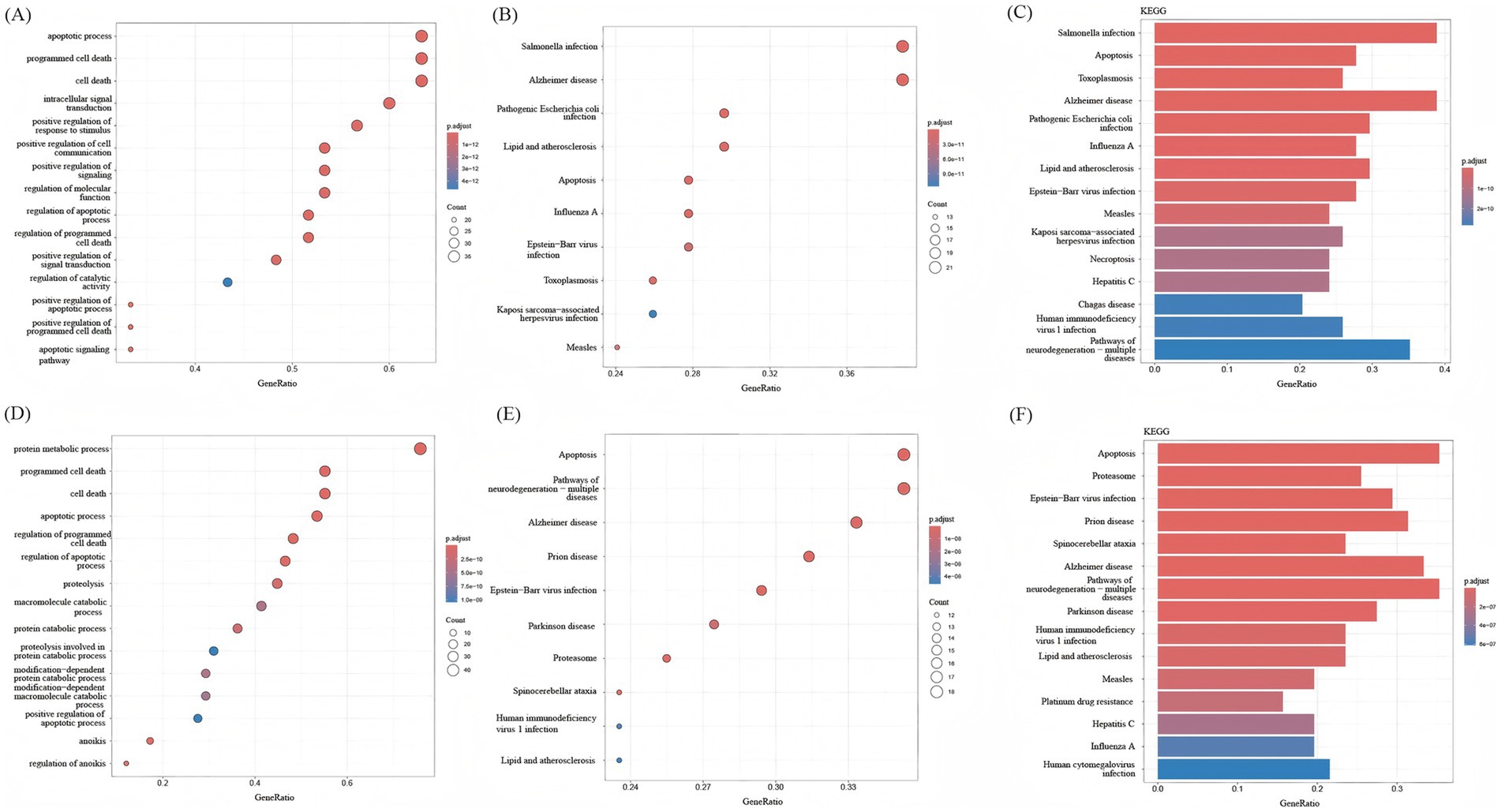 Six panels display gene enrichment and pathway analysis related to apoptosis and diseases using dot and bar plots. Panels A, B, D, and E show dot plots with gene ratios on the x-axis and terms such as
