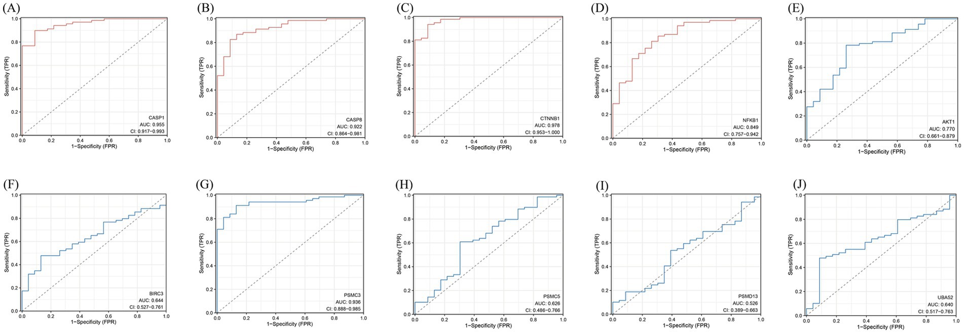 ROC curves (A-J) for different genes are displayed, showing sensitivity versus 1-specificity. AUC and confidence intervals vary by gene. CASP1, CASP8, CTNNB1, and NFKB1 have higher AUC values, indicating better diagnostic performance, compared to AKT1, BIRC3, PSMC3, PSMC5, PSMD13, and UBA52, which show moderate to lower diagnostic accuracy.