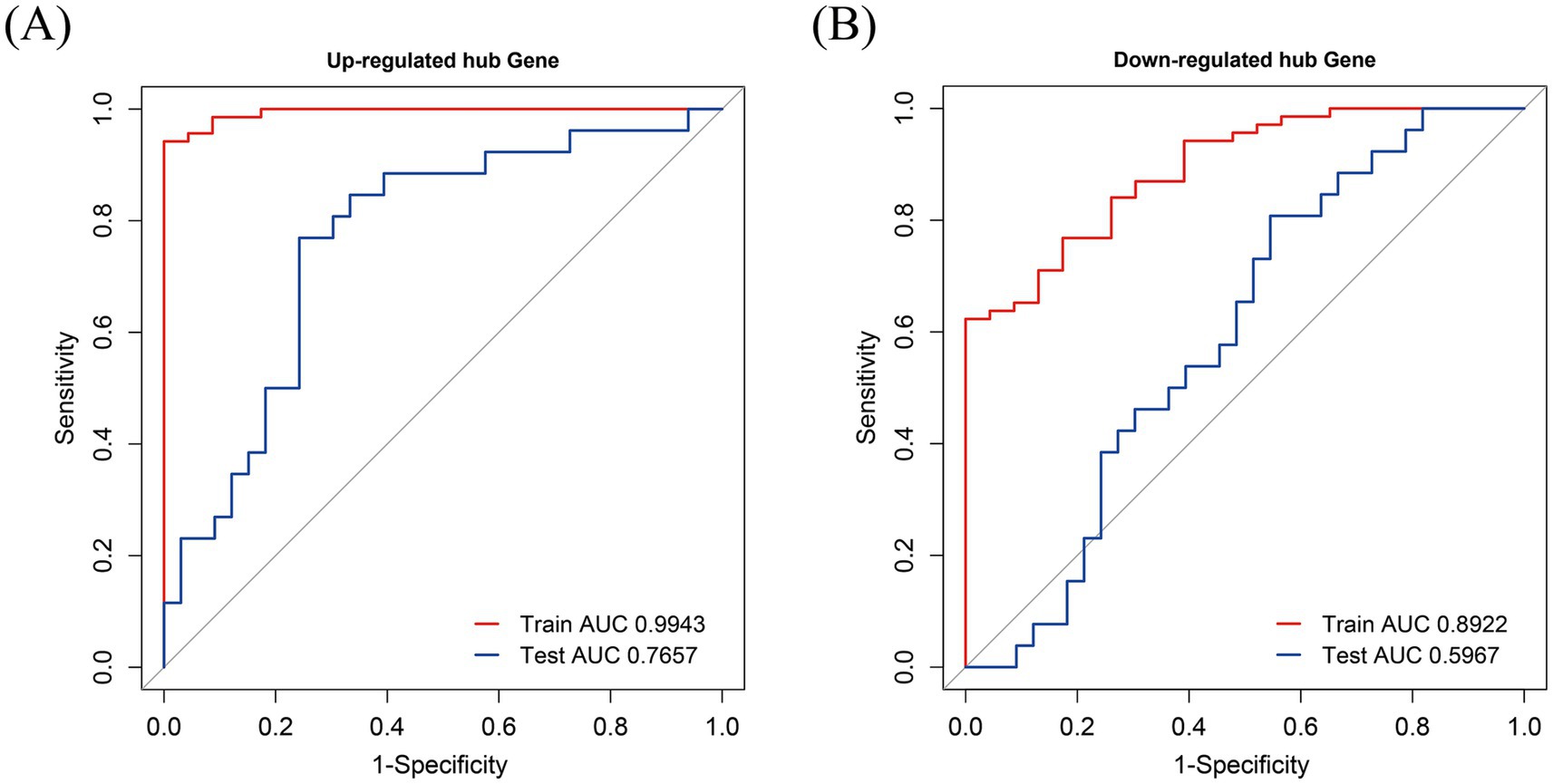 Two ROC curves labeled A and B compare the performance of gene regulation models. Graph A shows the up-regulated hub gene with a red training AUC of 0.9943 and a blue test AUC of 0.7657. Graph B shows the down-regulated hub gene with a red training AUC of 0.8922 and a blue test AUC of 0.5967. Sensitivity is plotted against 1-specificity.