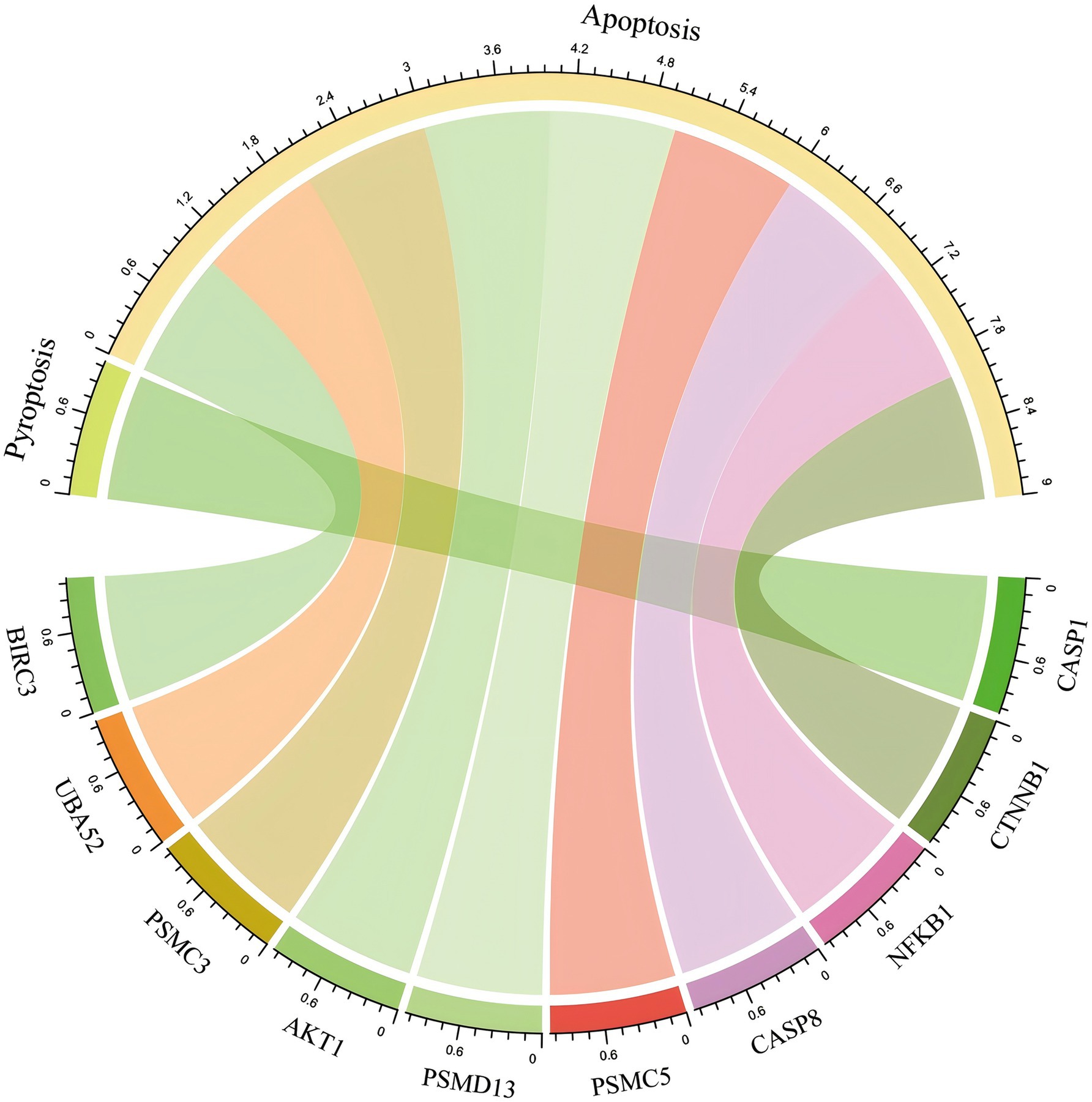 Circular diagram illustrating the relationships between pyroptosis and apoptosis pathways. Sections labeled with gene names like BIRC3, NFKB1, and CASP1, are connected by colored bands indicating interactions and expression levels. The outer perimeter is numbered, possibly representing expression values.