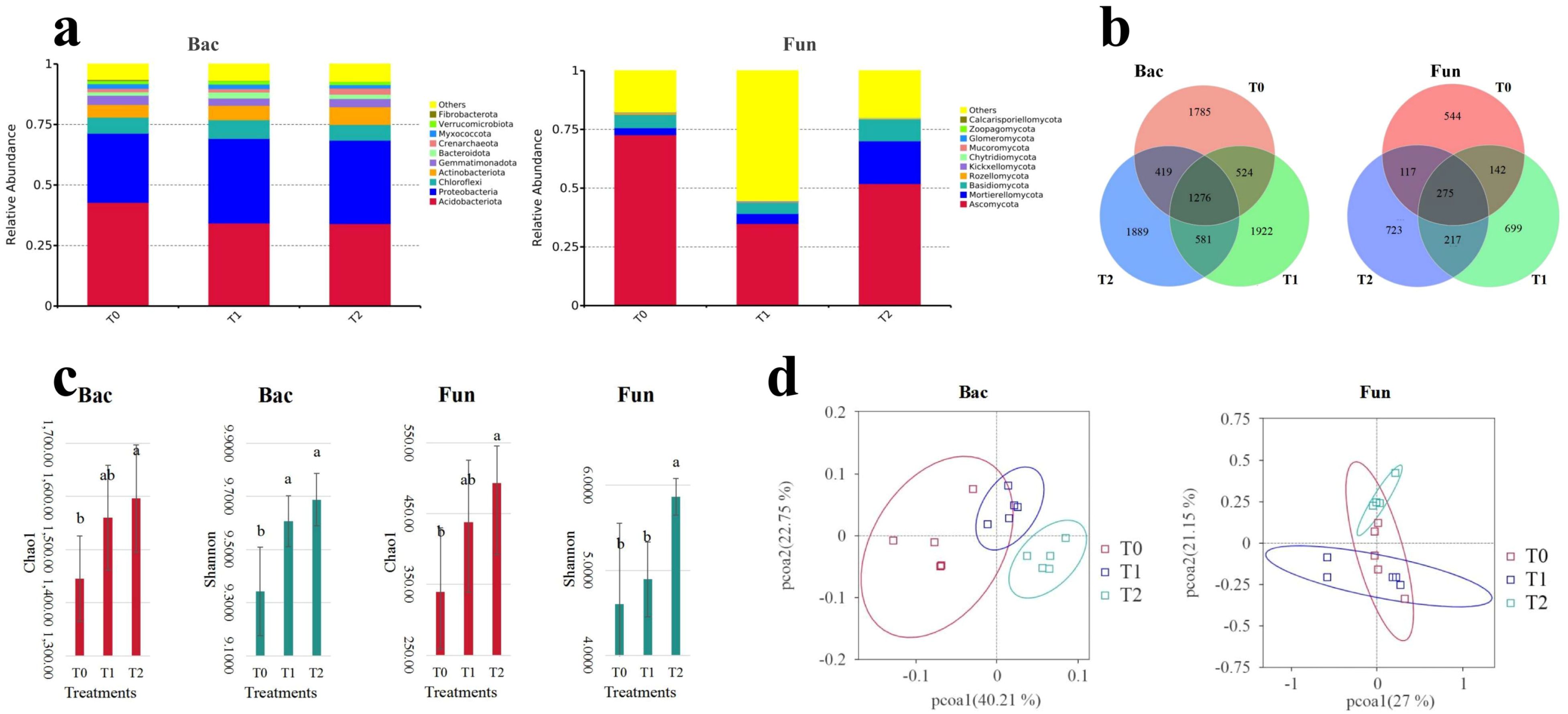 a. Bar charts show the relative abundance of bacterial and fungal taxa across treatments T0, T1, and T2, with different colors representing various taxa. b. Venn diagrams illustrate shared and unique bacterial and fungal taxa among treatments T0, T1, and T2. c. Bar graphs display richness and diversity indices (Chao1 and Shannon) for bacteria and fungi across treatments T0, T1, and T2, with significant differences marked. d. PCoA plots demonstrate bacterial and fungal community composition differences among treatments T0, T1, and T2, with ellipses representing variation.