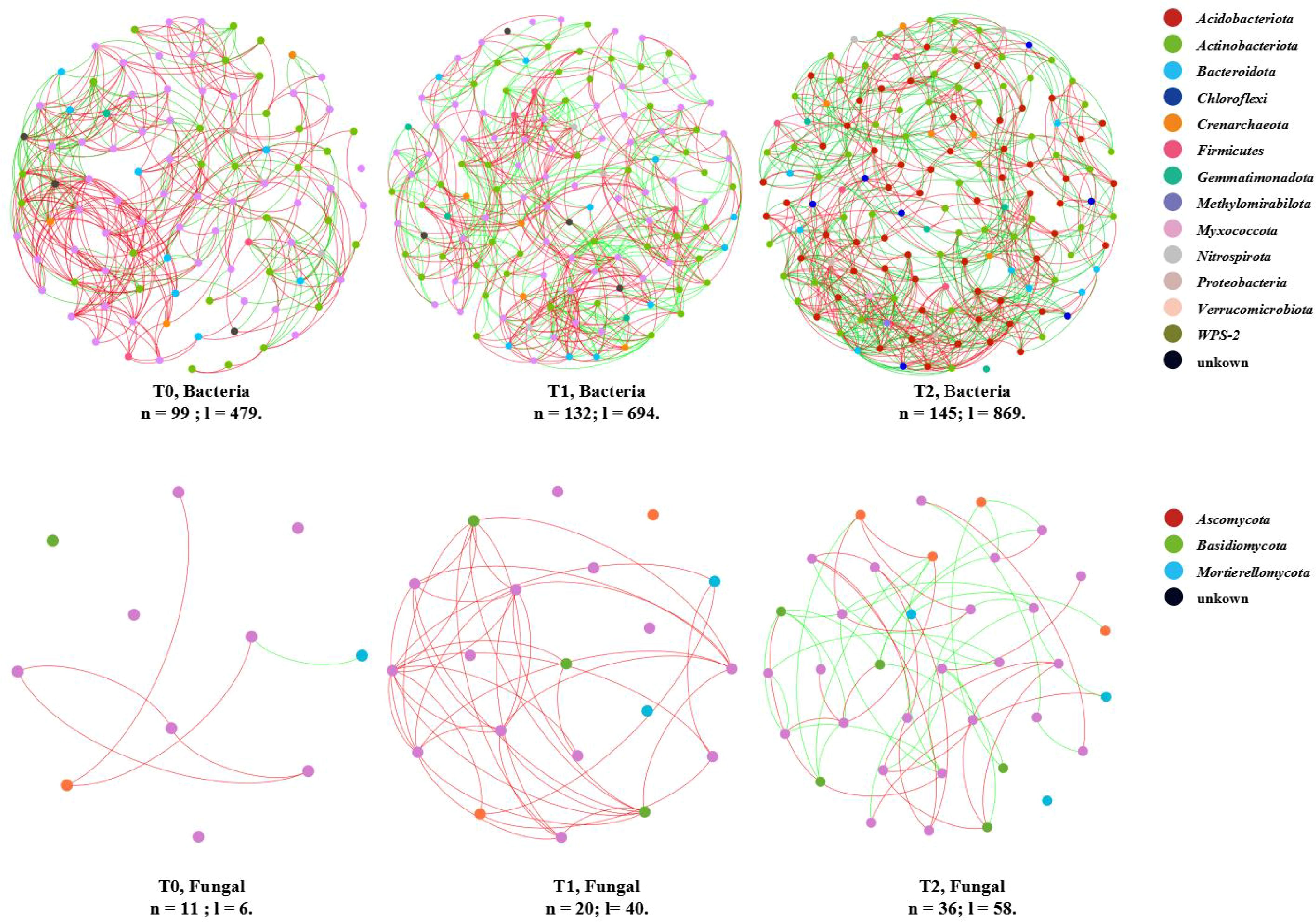 Network diagrams illustrate bacterial and fungal communities at three time points (T0, T1, T2). Bacterial networks (top row) are labeled with names and values for 'n' and 'l'; similarly, fungal networks (bottom row). Nodes and edges vary in color, representing different taxa. A color legend is on the right.