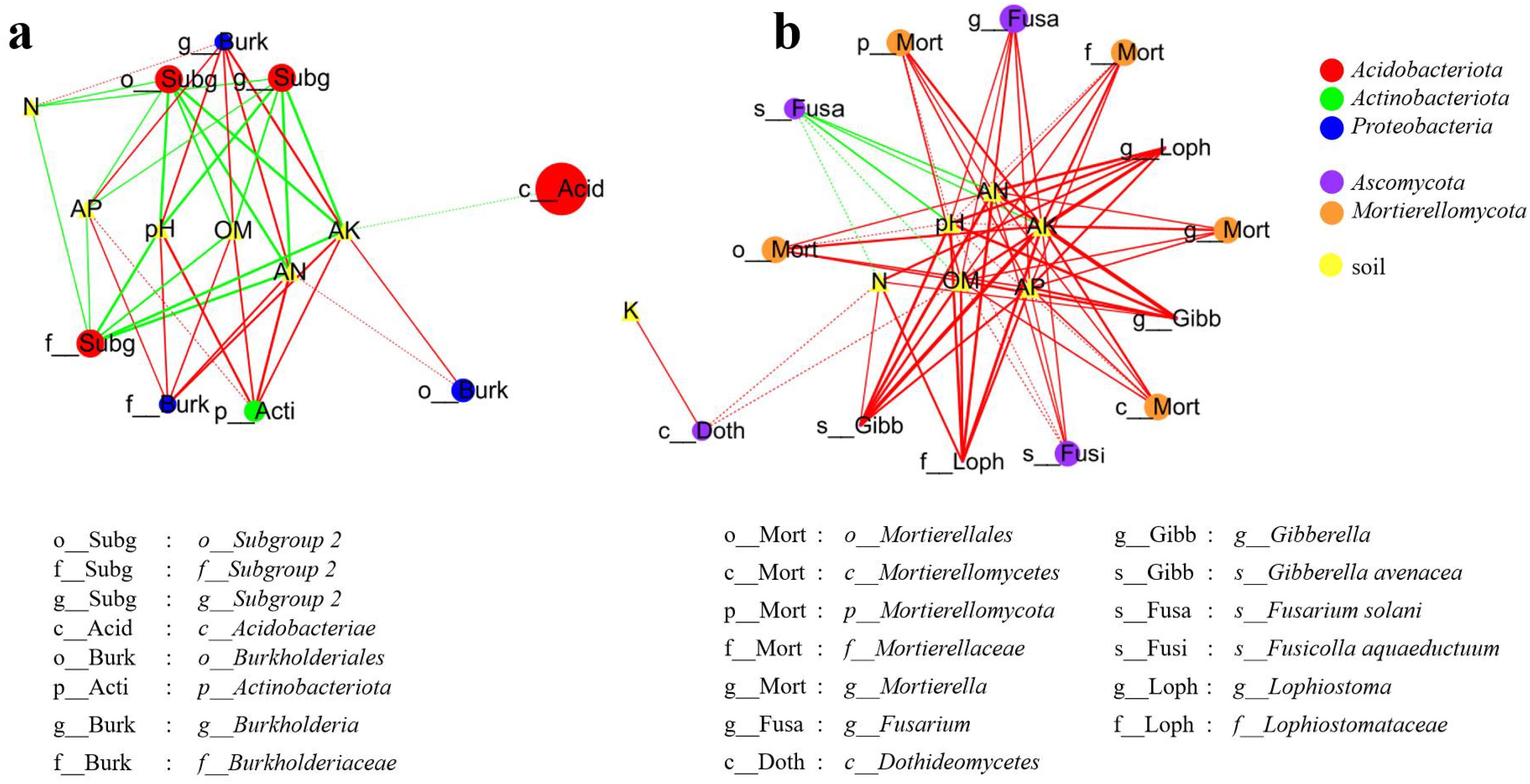 Diagram illustrating two ecological networks labeled a and b. Network a consists of red, green, and blue circles with various connections, and represents Acidobacteriota, Actinobacteriota, and Proteobacteria. Network b consists of purple, orange, and yellow circles, indicating interactions among Ascomycota, Mortierellomycota, and soil elements. Lines connecting nodes indicate relationships, with a key explaining the color-coded taxonomic groups below.
