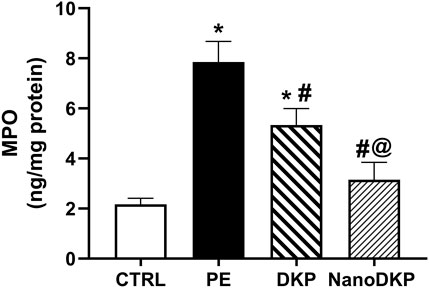 Bar graph showing MPO levels (ng/mg protein) for four groups: CTRL, PE, DKP, and NanoDKP. PE has the highest level, followed by DKP, NanoDKP, and CTRL. Symbols indicate statistical significance among groups.