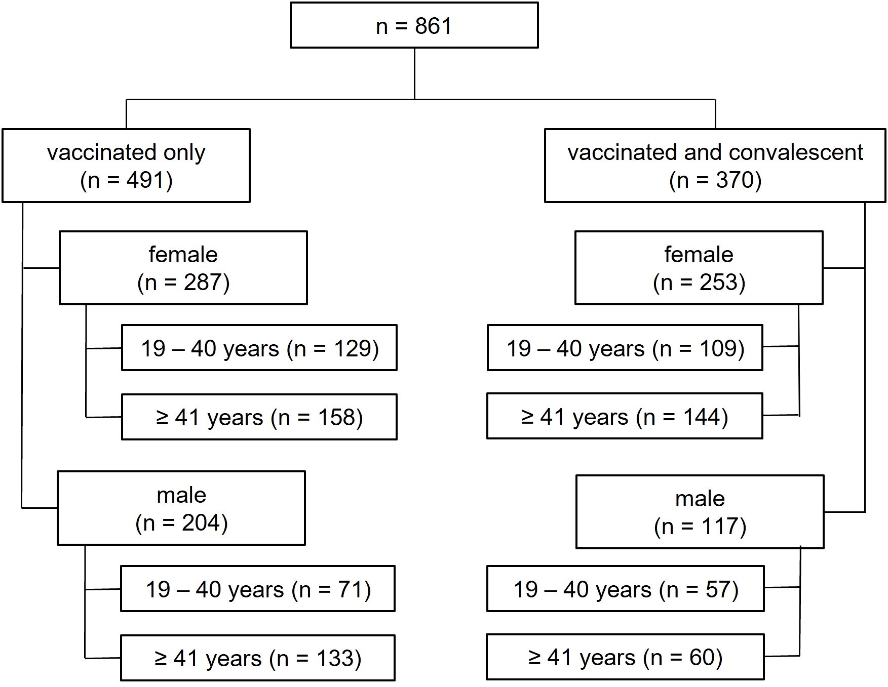 Flowchart showing a breakdown of 861 individuals. It divides into two groups: “vaccinated only” with 491 individuals and “vaccinated and convalescent” with 370 individuals. Each group is further divided by gender and age: females and males, then ages nineteen to forty years and forty-one years or older. Specific numbers are indicated for each subgroup.