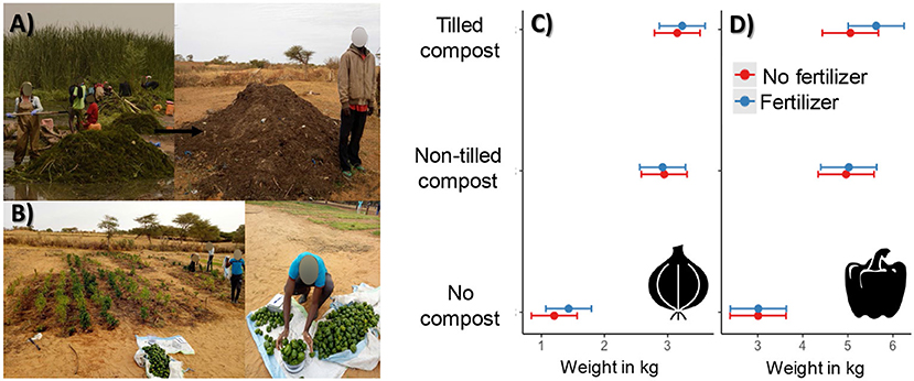 Figure 2 - Plants pulled from waterbodies can be used as compost to increase food production.