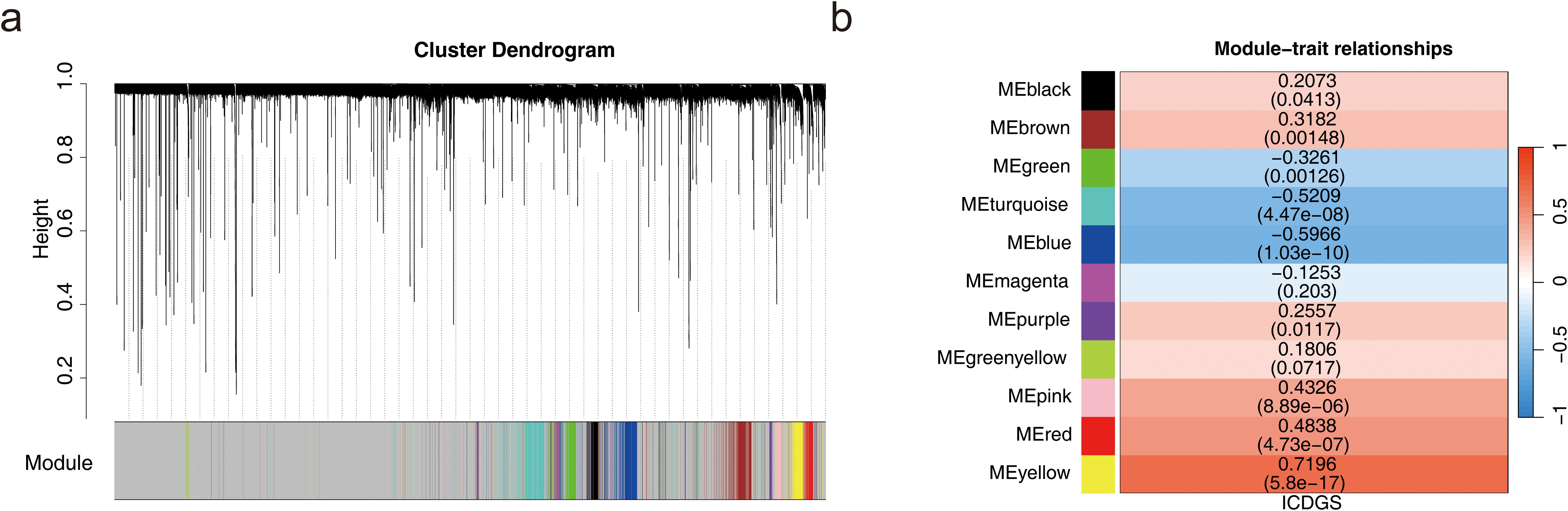 Cluster dendrogram and module-trait relationships are depicted. On the left, a dendrogram shows hierarchical clustering with color-coded modules at the bottom. On the right, a heatmap illustrates module-trait correlations, with values ranging from negative (blue) to positive (red) associations. Values and p-values are shown for each module.