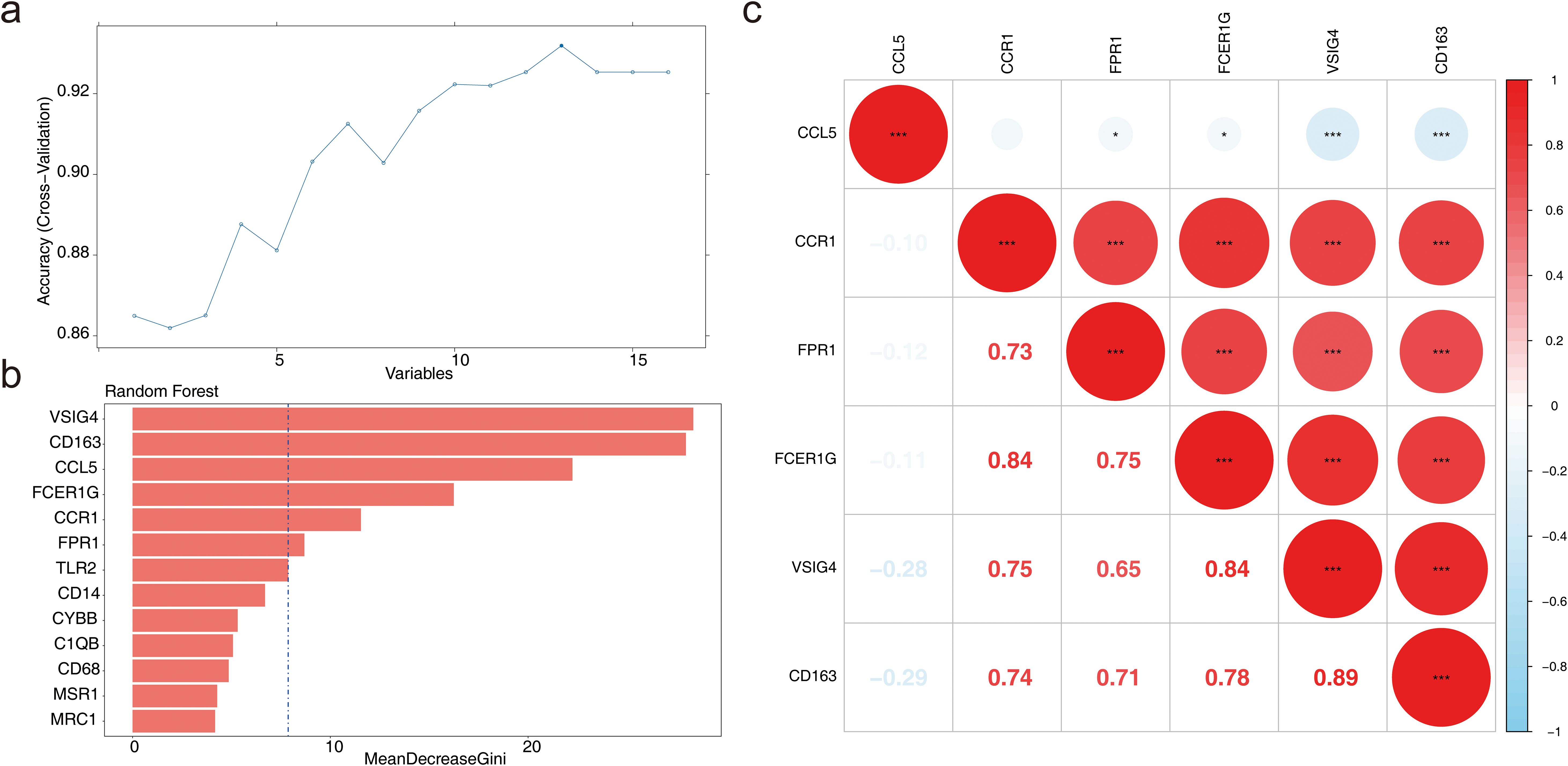 Three-panel figure: (a) Line graph showing cross-validation accuracy increasing with additional variables, peaking around the fifteenth. (b) Bar chart ranking variables by importance in a random forest model, with VSIG4 and CD163 being the most significant. (c) Correlation matrix visually depicting relationships among variables such as CCL5, CCR1, and others, using colored circles to indicate strength and direction.
