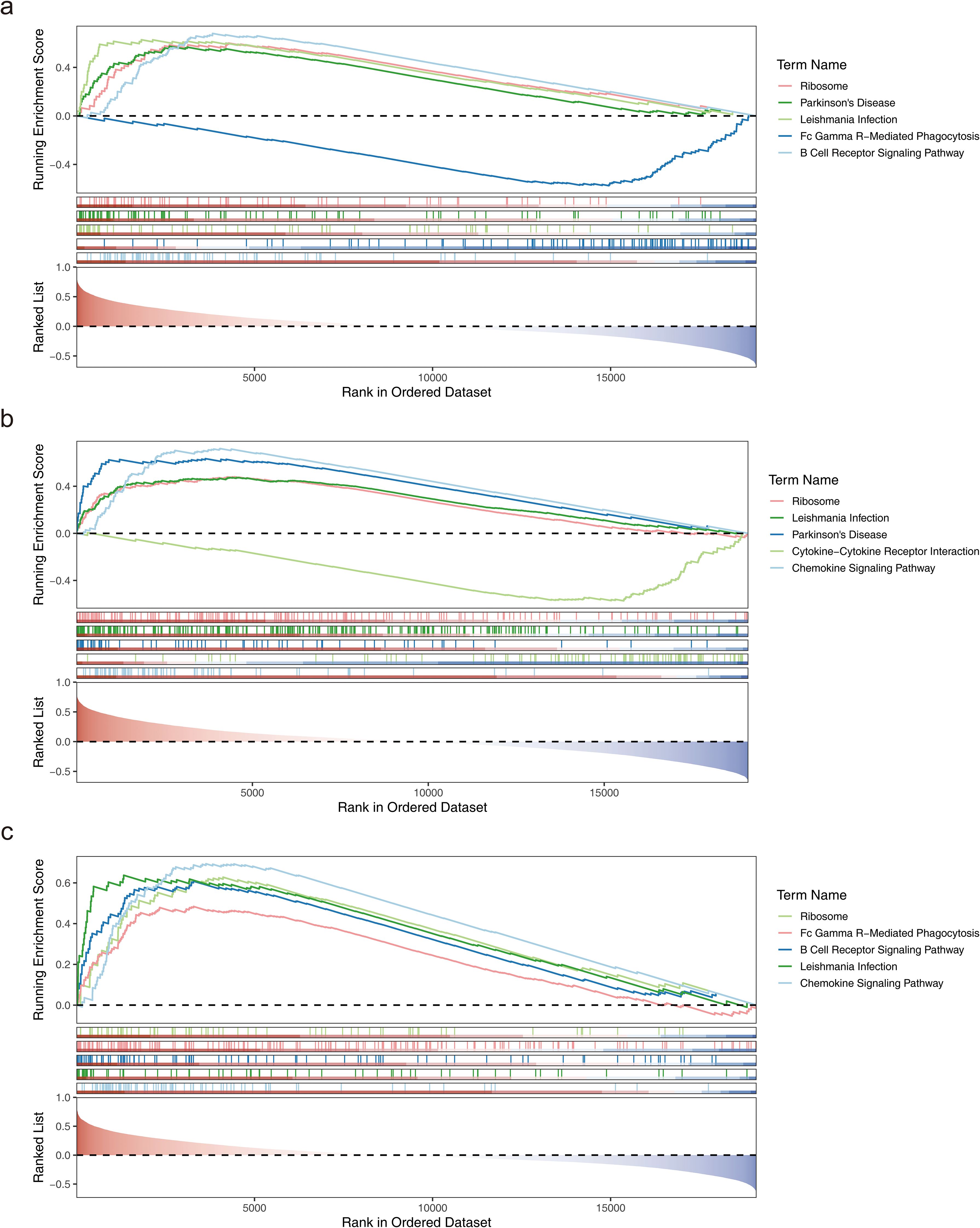 Three line graphs labeled a, b, and c show running enrichment scores against rank in ordered datasets. Each graph features multiple pathways, including Ribosome and B Cell Receptor Signaling Pathway. Graph a includes Parkinson's Disease and Leishmania Infection. Graph b includes Cytokine-Cytokine Receptor Interaction. Graph c includes Fc Gamma R-Mediated Phagocytosis. Each graph has a ranked list visualization below.
