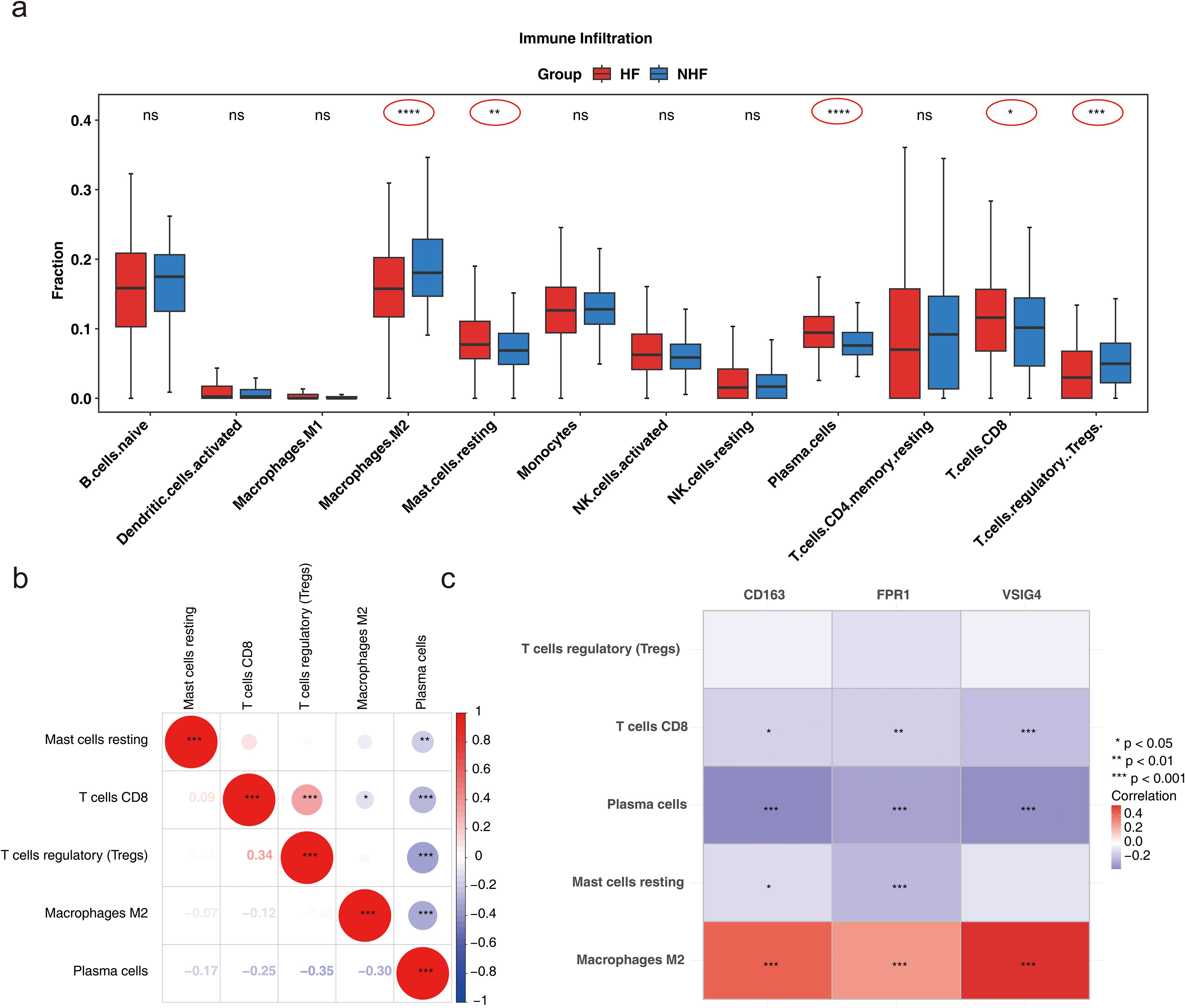 Panel a shows a box plot of immune cell fractions comparing two groups, HF and NHF, with significant differences in macrophages M2, NK cells resting, T cells CD4 memory resting, T cells CD8, and T cells regulatory Tregs. Panel b is a correlation matrix highlighting relationships between various immune cell types with scales for positive and negative correlations. Panel c presents a heatmap of correlations between immune cells and markers CD163, FPR1, and VSIG4, indicating significance with asterisk levels from p < 0.05 to p < 0.001.