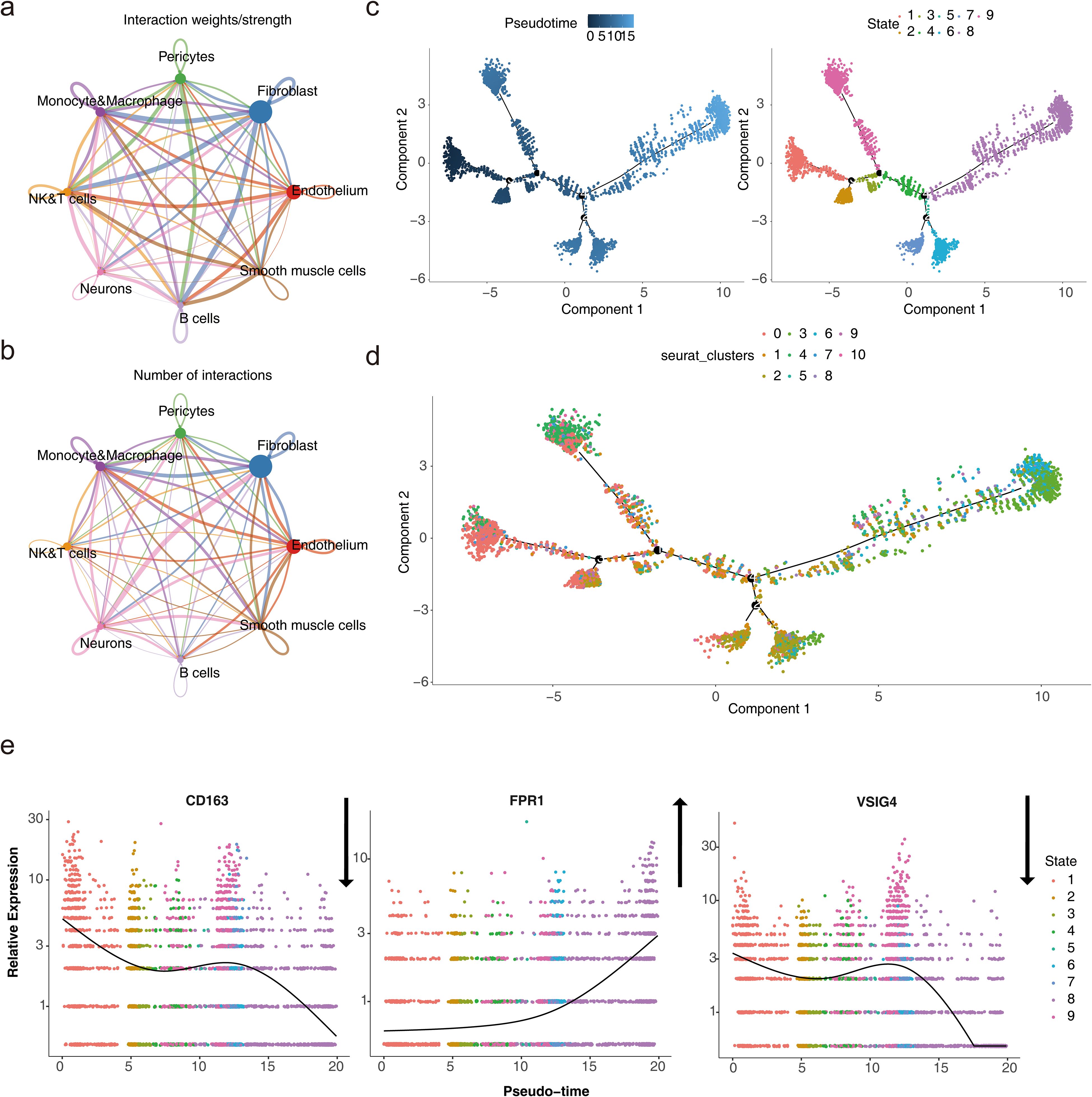 Graphs and charts depicting cellular interactions and data. Panels a and b show network charts illustrating interactions among cell types like fibroblasts and macrophages. Panel c shows pseudotime trajectory plots, highlighting different cell states. Panel d displays clustering based on components, marked by distinct colors. Panel e shows graphs of relative expression over pseudotime for markers CD163, FPR1, and VSIG4, with expression trends represented by lines.