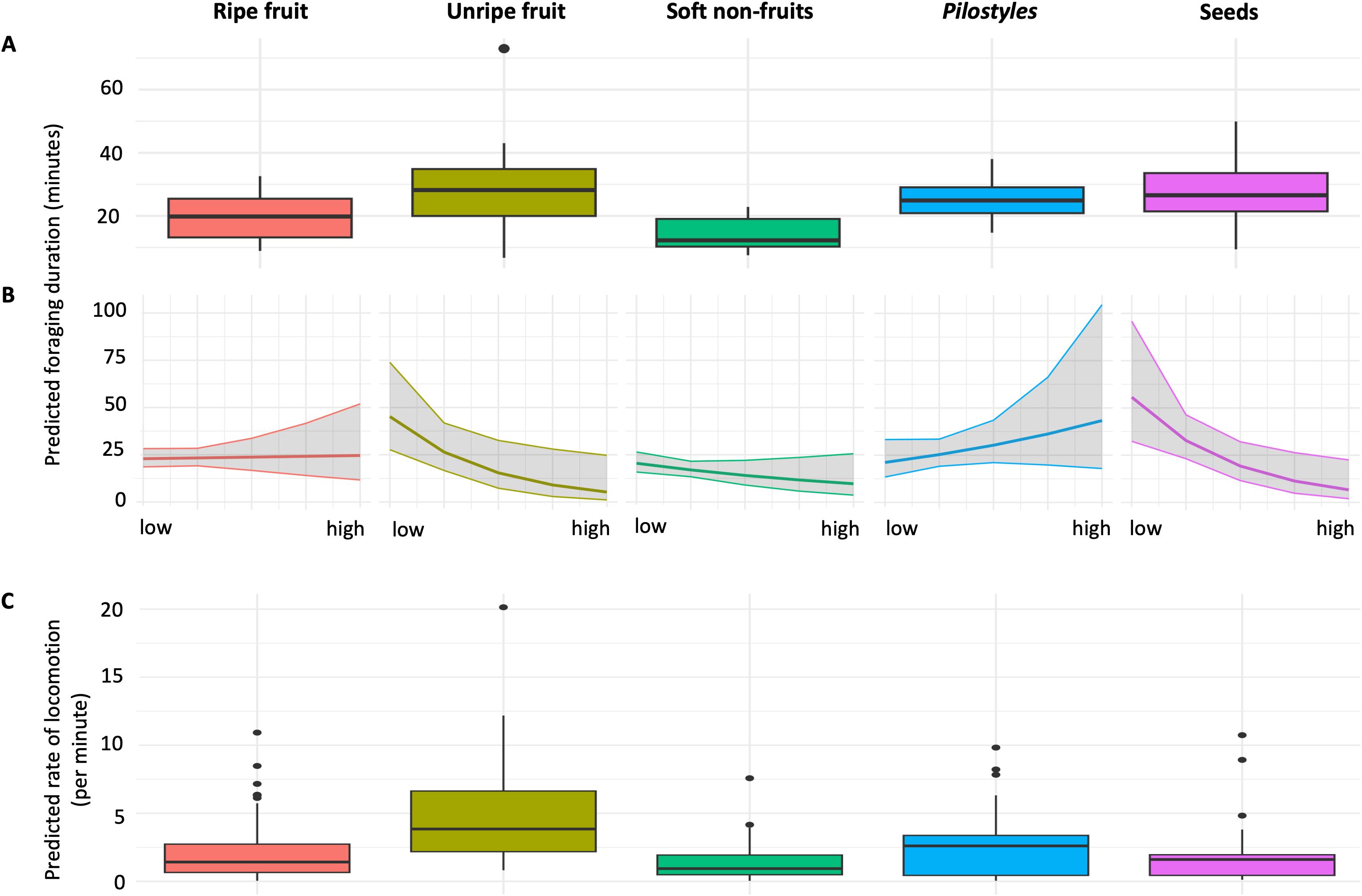 Boxplots and line graphs display data on foraging duration and locomotion rates for different food types: ripe fruit, unripe fruit, soft non-fruits, Pilostyles, and seeds. Graph A shows foraging duration by food type. Graph B shows foraging duration trends by food amount (low to high). Graph C shows locomotion rates by food type.