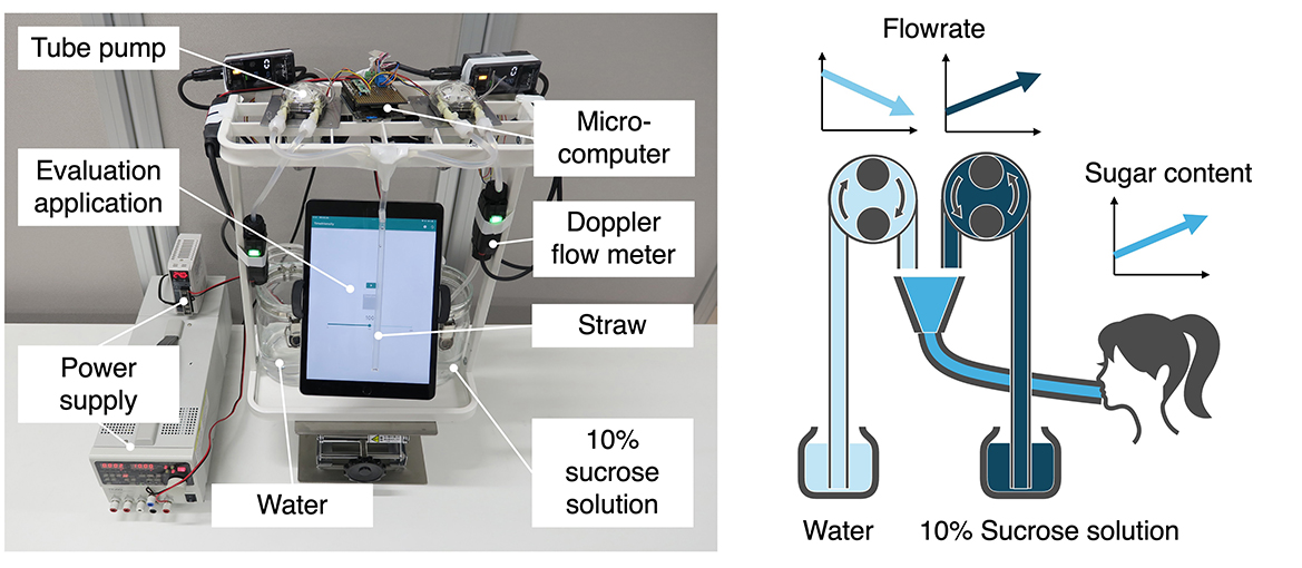 A labeled photograph and diagram of the experimental apparatus (DynaDrink). The left side shows a photograph of the apparatus with its components labeled: a power supply, tube pump, microcomputer, Doppler flowmeter, straw, water, 10% sucrose solution, and an evaluation application on an iPad. The right side is a diagram illustrating the flow of water and sucrose solution, showing a person drinking the sucrose solution from a straw connected to two reservoirs (one for water and one for the sucrose solution). Sugar concentration fluctuation presentation device (DynaDrink) and conceptual diagram.