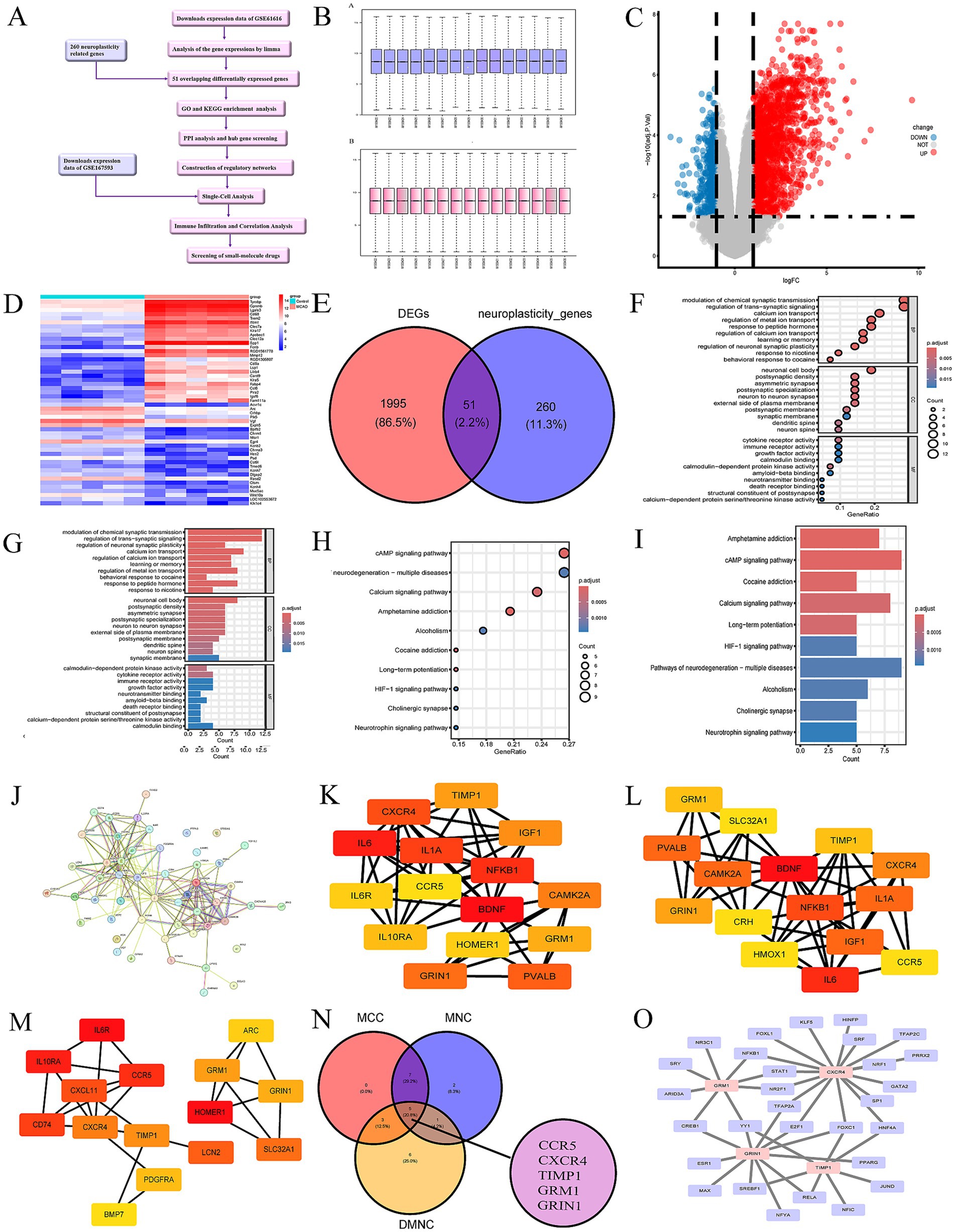 The image consists of multiple panels depicting a comprehensive bioinformatics analysis. Panel A presents a flowchart outlining the analysis process. Panel B displays two boxplots for expression data distribution. Panel C shows a volcano plot highlighting differentially expressed genes, with points colored based on changes. Panel D is a heatmap illustrating gene expression levels. Panel E features a Venn diagram comparing differentially expressed and neuroplasticity-related genes. Panels F, G, I depict bar graphs of enriched pathways. Panel H contains a dot plot for signaling pathways. Panels J, K, L, M, O show network visualizations of gene interactions. Panel N displays a Venn diagram of gene sets.