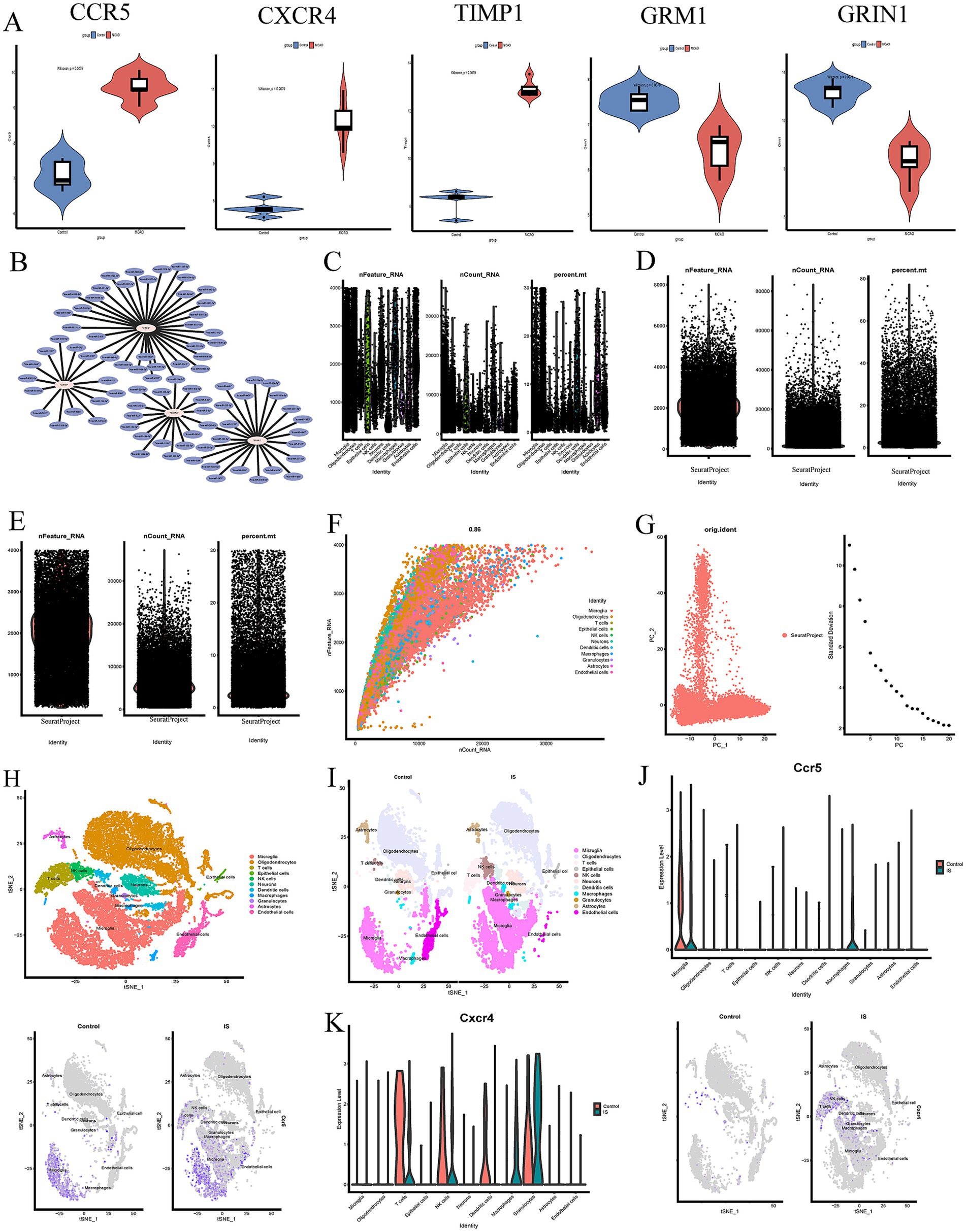 Multiple panels showing various data visualizations: A. Violin plots of gene expression for CCR5, CXCR4, TIMP1, GRM1, GRIN1.B. Network diagram with interconnected nodes.C, D, E. Scatterplots depicting feature and count data.F. Correlation scatterplot colored by identity.G. PCA plot with data points colored by source project.H, I. UMAP plots showing clusters labeled by cell type.J, K. Violin plots for Ccr5 and Cxcr4 expression across identities.