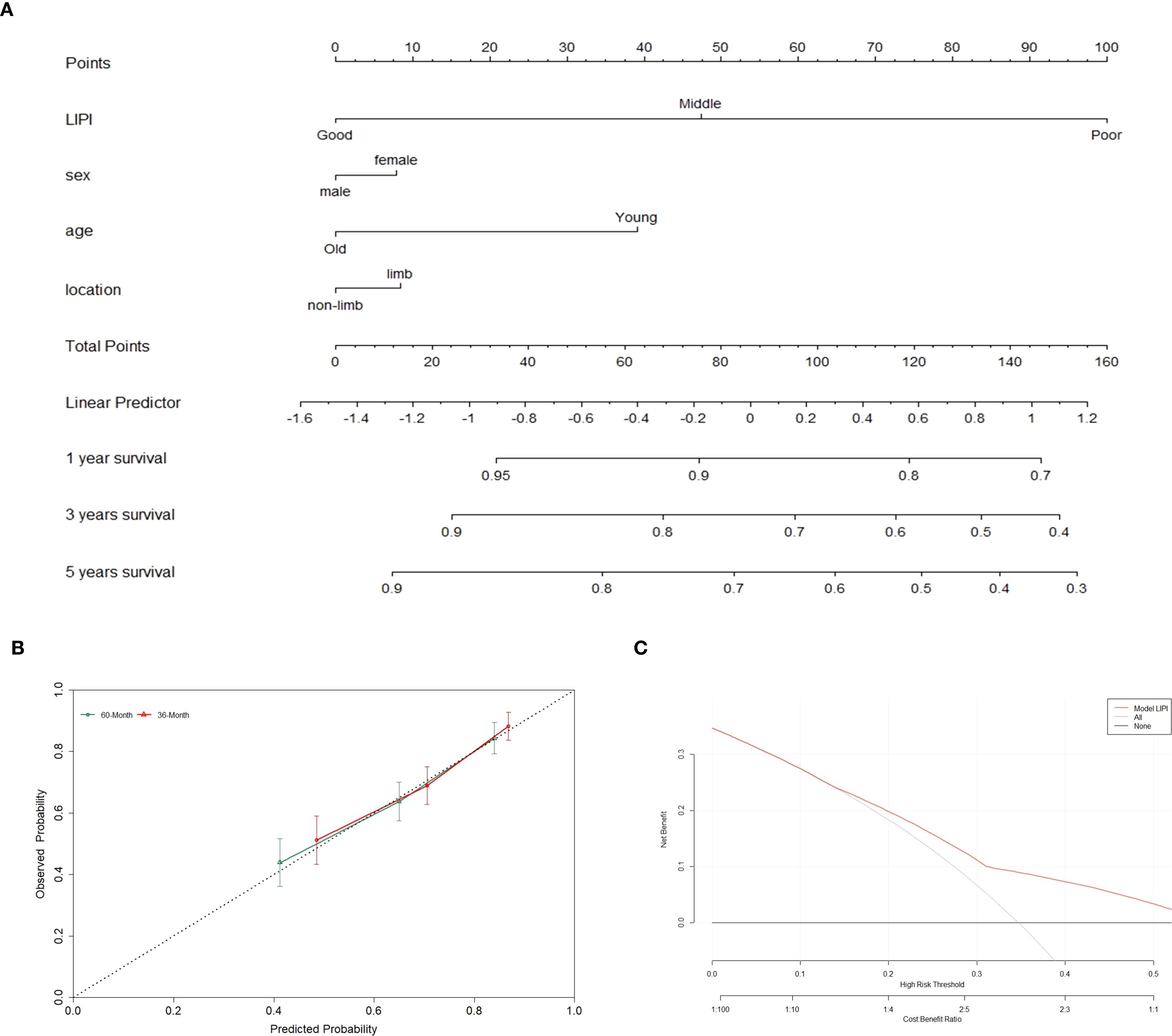 Panel A shows a nomogram predicting survival based on LIPI, sex, age, and location. Points align with survival probability at one, three, and five years. Panel B is a calibration plot comparing predicted and observed probabilities over 60 and 36 months. Panel C is a decision curve analysis depicting net benefit against high-risk thresholds for Model LIPI and alternatives.