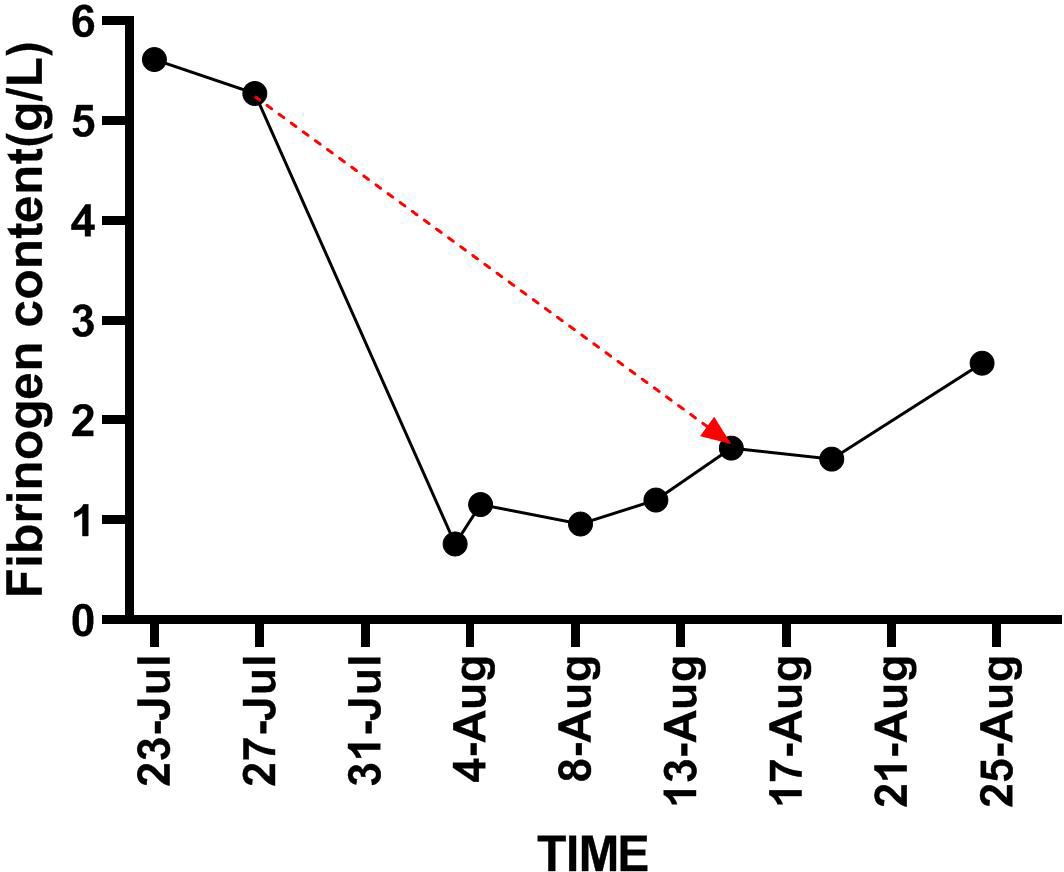 Line graph showing fibrinogen content over time from July 23 to August 25. The content sharply decreases from about 6 g/L to below 1 g/L between July 23 and August 4, then gradually increases, showing fluctuations towards August 25.