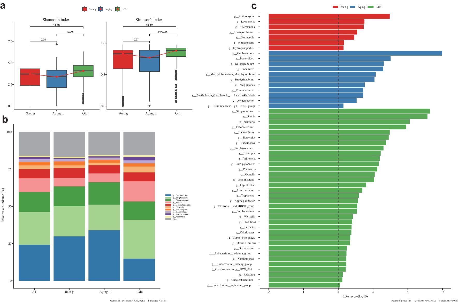 Diagram illustrating microbial diversity and composition across three age groups: young, aging I, and old. Panel a shows Shannon's and Simpson's diversity indices with boxplots revealing significant diversity changes with age. Panel b displays a stacked bar chart of relative microbial abundance by genus, highlighting variations among age groups. Panel c presents a horizontal bar chart of LDA scores indicating microbial genera contributive to age differences, with specific genera prevalent in each group.