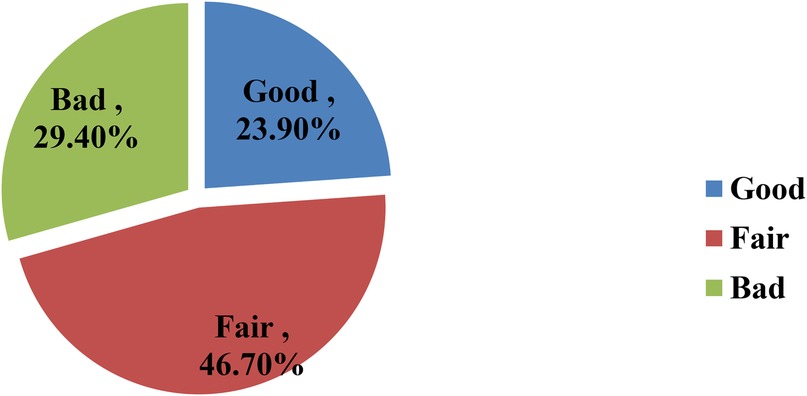 Pie chart depicting three categories: \