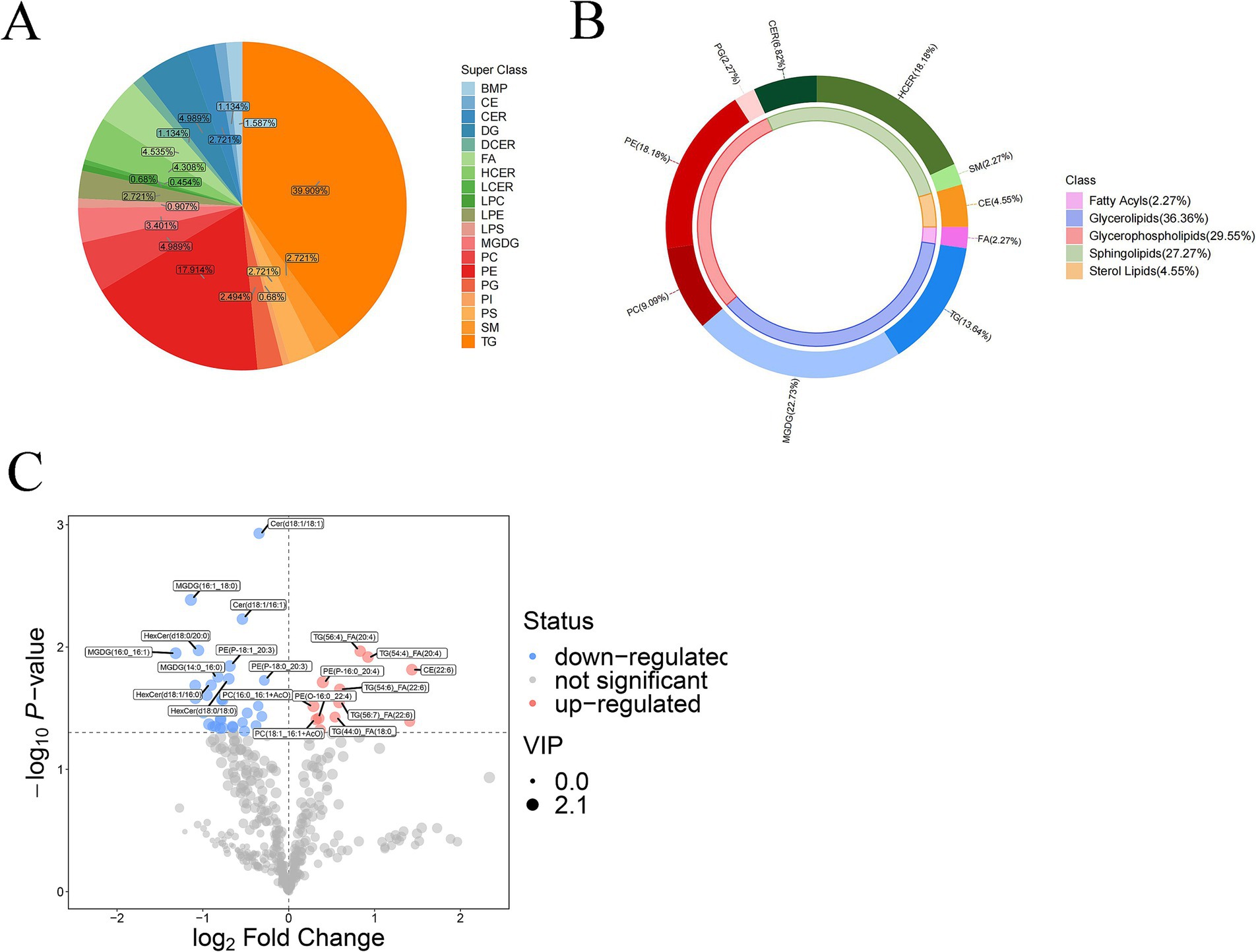 Three panels display data visualizations related to lipid classes. Panel A is a colorful pie chart showing percentage distribution of various lipid superclasses, with TG being the most prevalent at 39.09 percent. Panel B is a donut chart illustrating the percentage share of five main lipid classes, with Glycerolipids leading at 36.36 percent. Panel C is a volcano plot displaying log2 fold changes against negative log P-values, highlighting down-regulated, not significant, and up-regulated lipid features with varying sizes indicating their VIP scores.