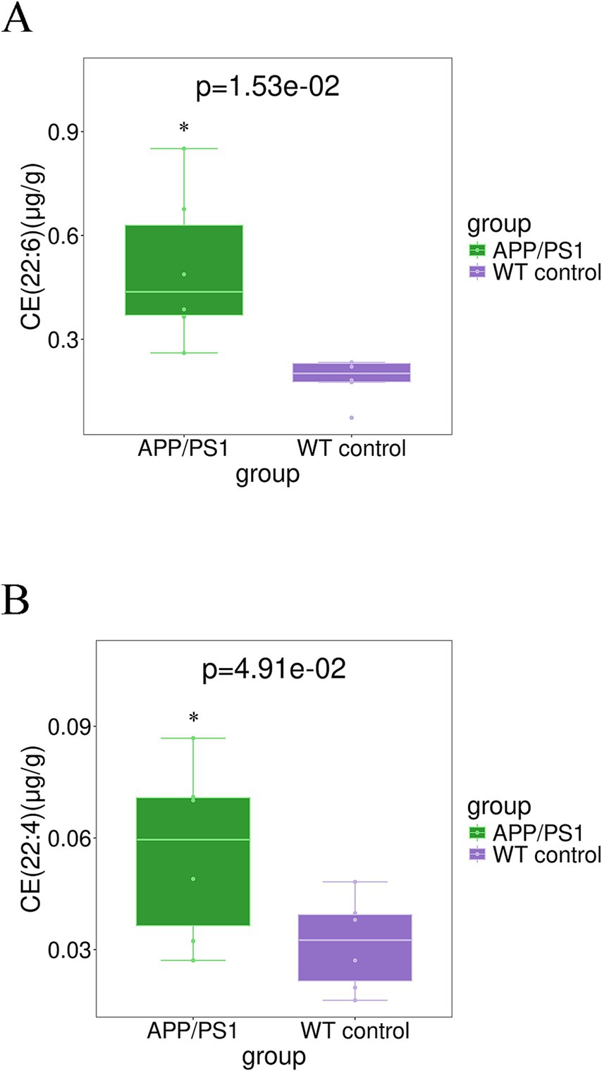 Two box plots labeled A and B compare CE(22:6) and CE(22:4) levels in APP/PS1 and WT control groups. Plot A shows higher levels in the APP/PS1 group with a p-value of 0.0153. Plot B indicates similar results with a p-value of 0.0491. Green and purple colors differentiate the groups.